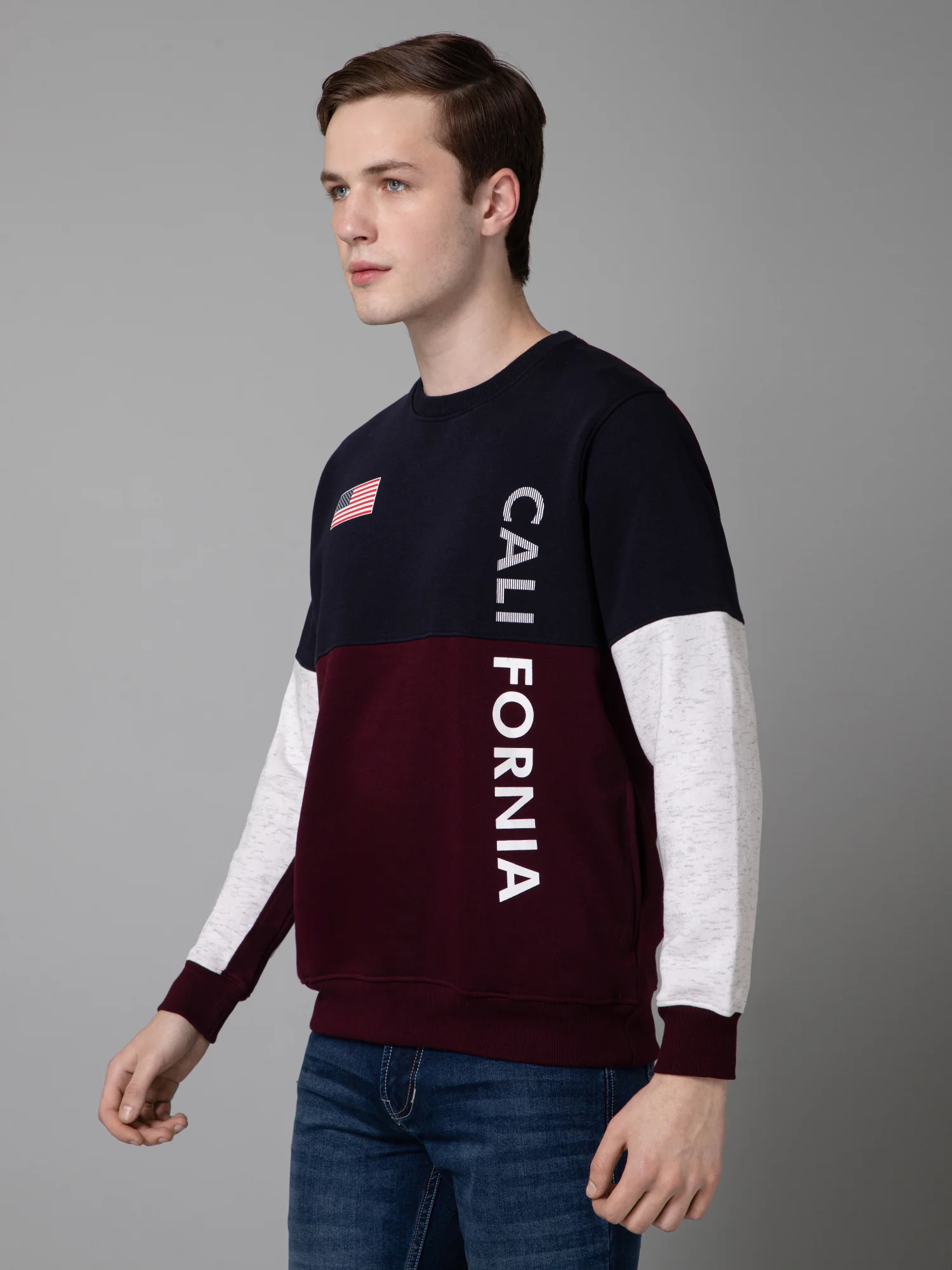 Color Blocked Wine Full Sleeves Rounded Neck Regular Fit Casual Sweatshirt for Men - Image 2
