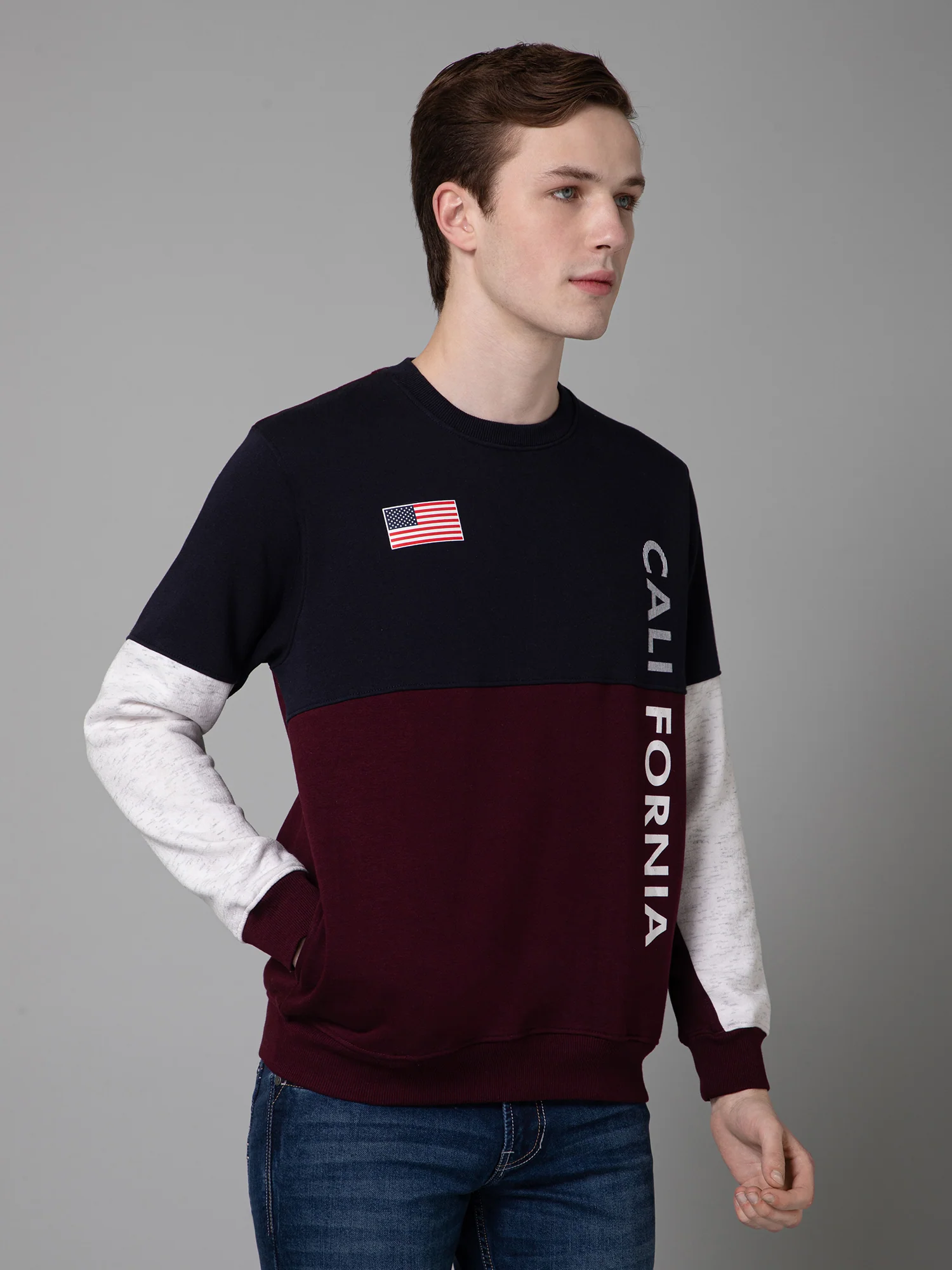 Color Blocked Wine Full Sleeves Rounded Neck Regular Fit Casual Sweatshirt for Men - Image 3