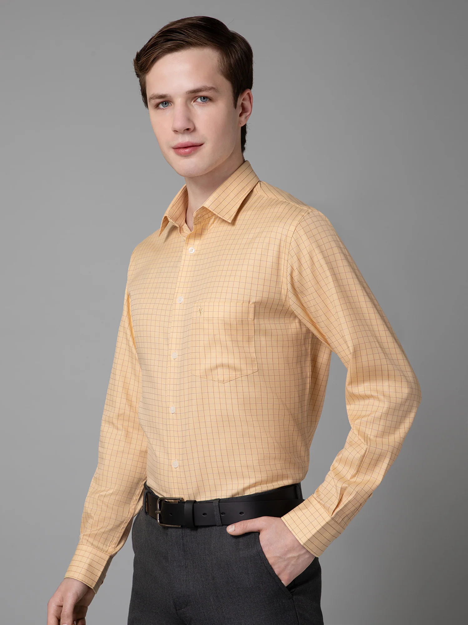 Men's Beige Formal Small Checks Full Sleeve Shirt - Image 2