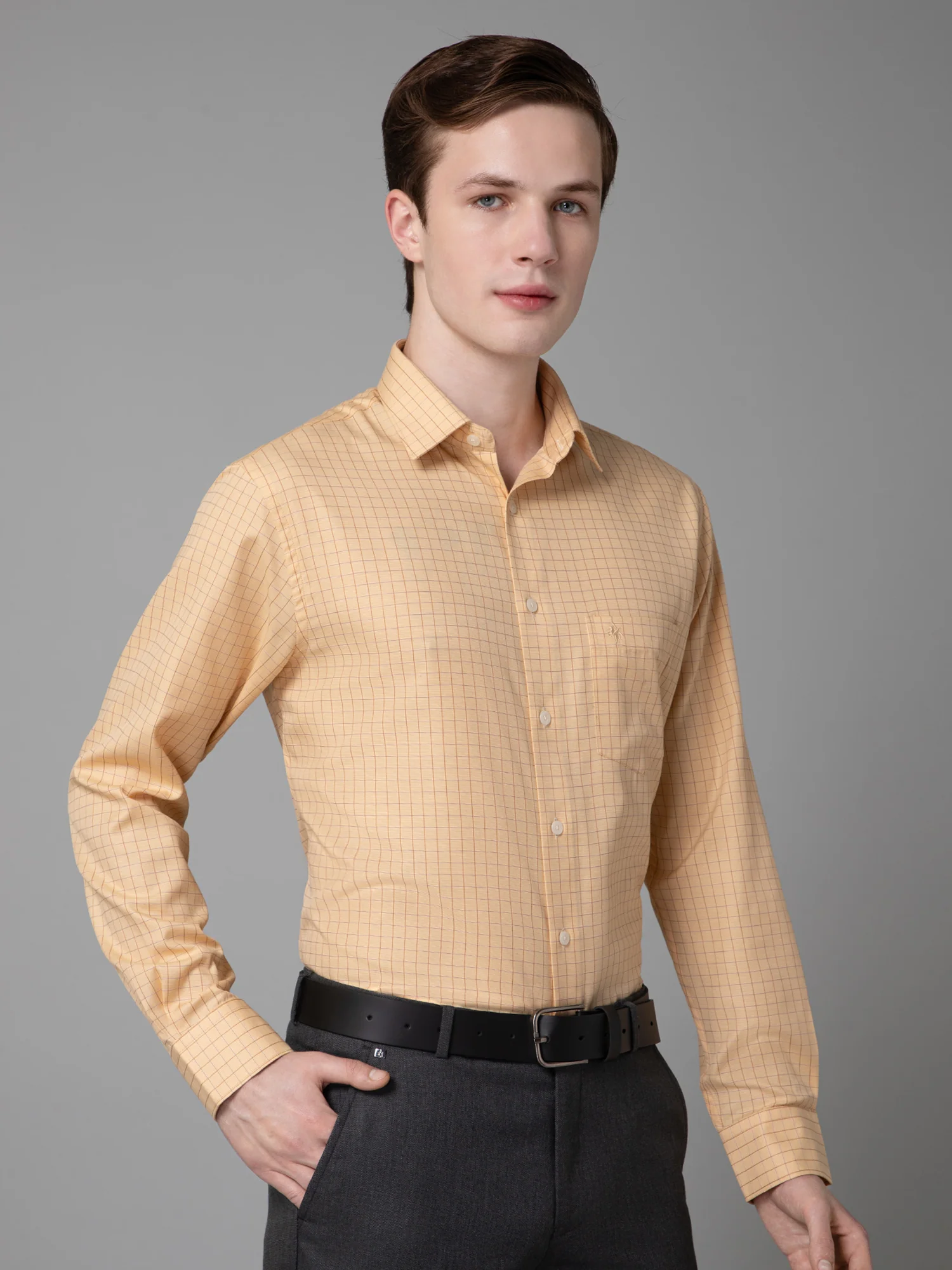 Men's Beige Formal Small Checks Full Sleeve Shirt - Image 3