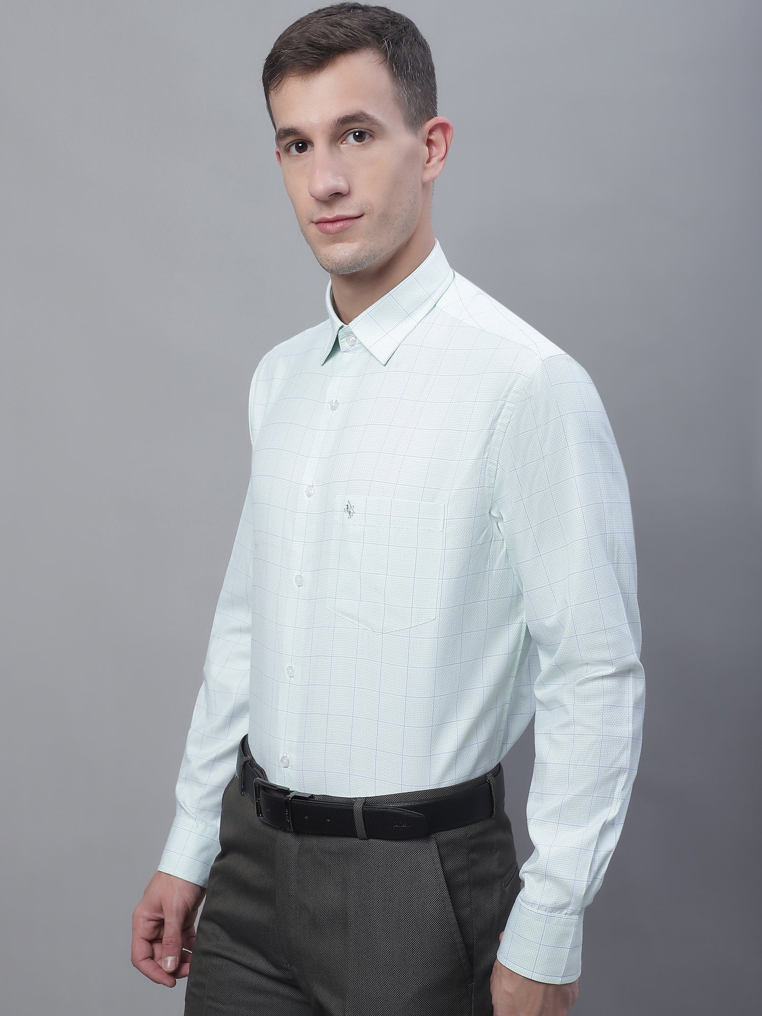 Men's Light Green Formal Medium Checks Textured Full Sleeve Shirt - Image 3