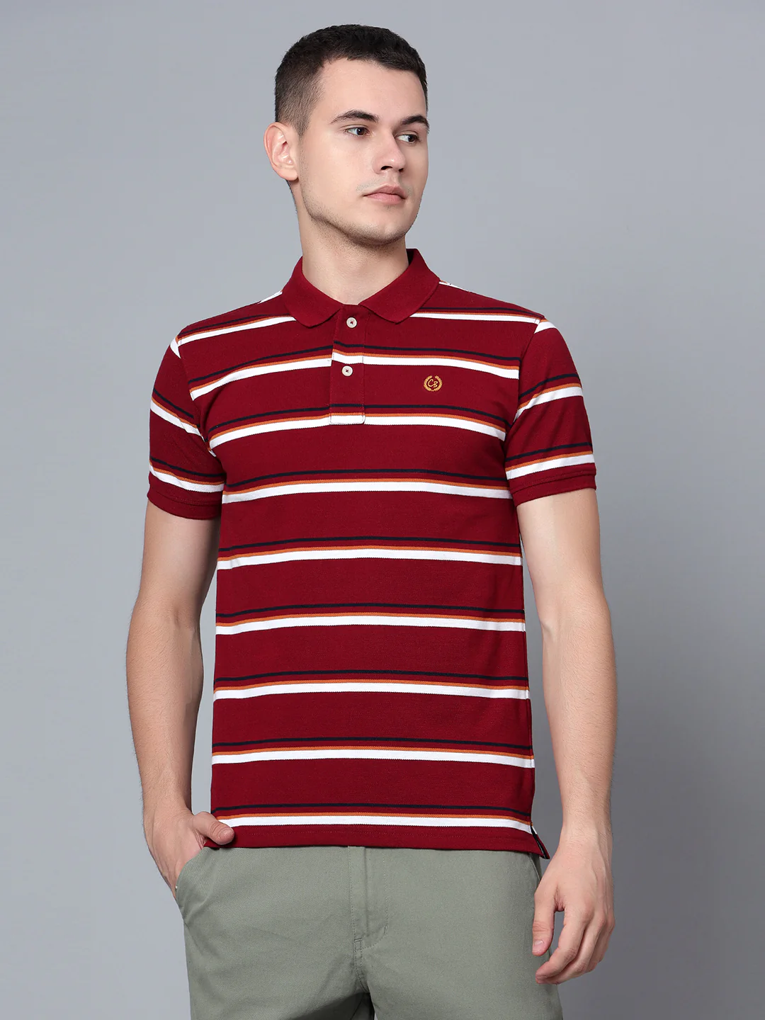 T-Shirt for Men | Breathable & Soft with Color Fastness Regular Fit Polo Neck Poly Cotton Fabric Striped Pattern - Image 2