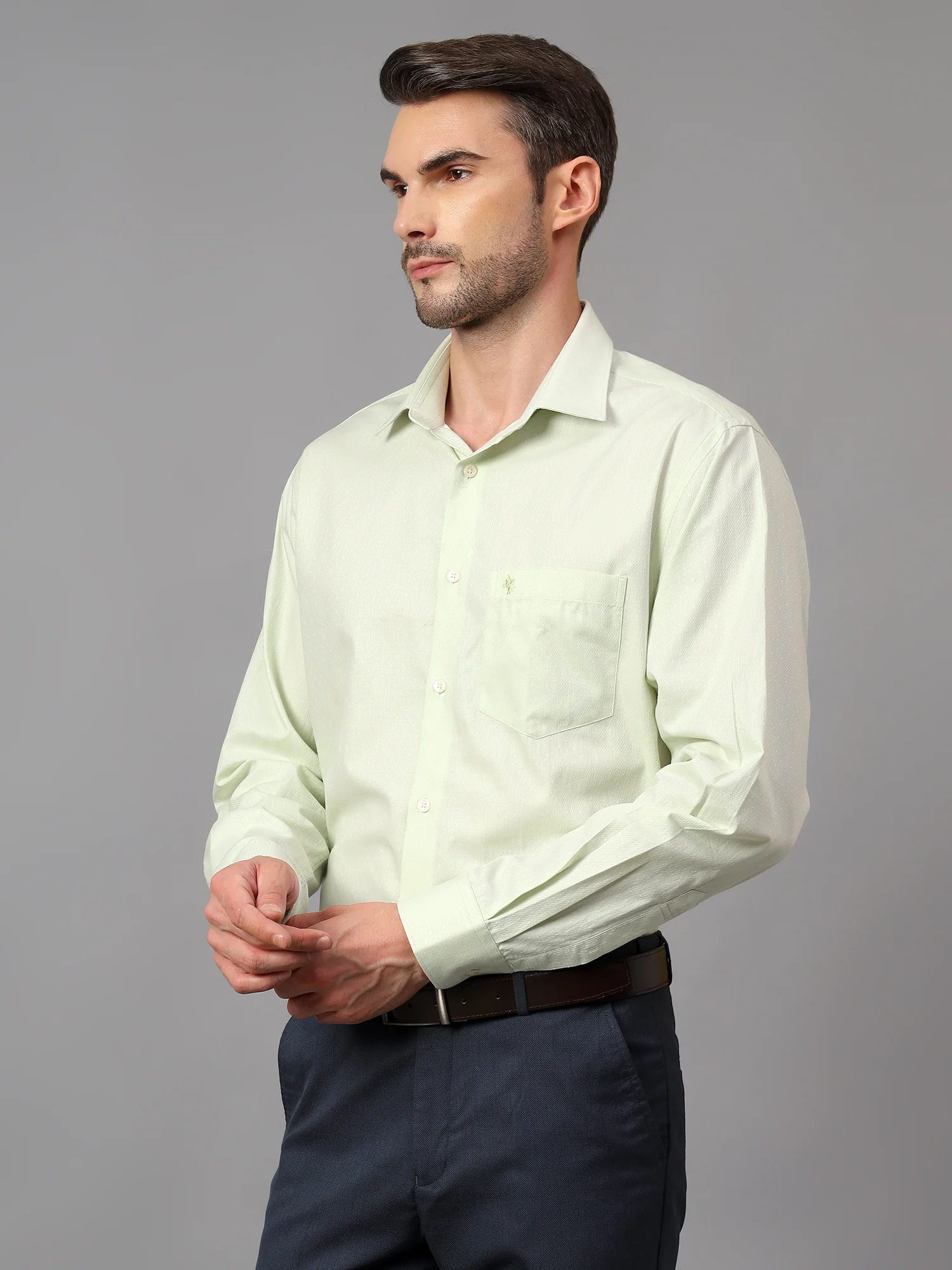 Men's Light Green Formal Self Textured Full Sleeve Shirt - Image 4