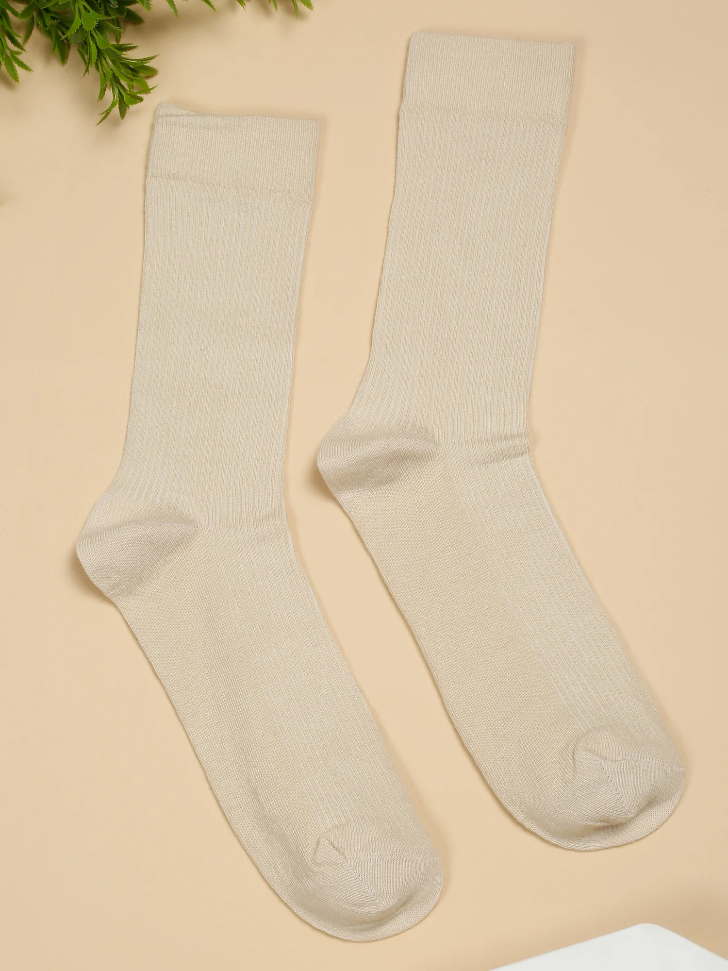 Men's Cream Basic Crew length Socks -Pack of 5 - Image 6