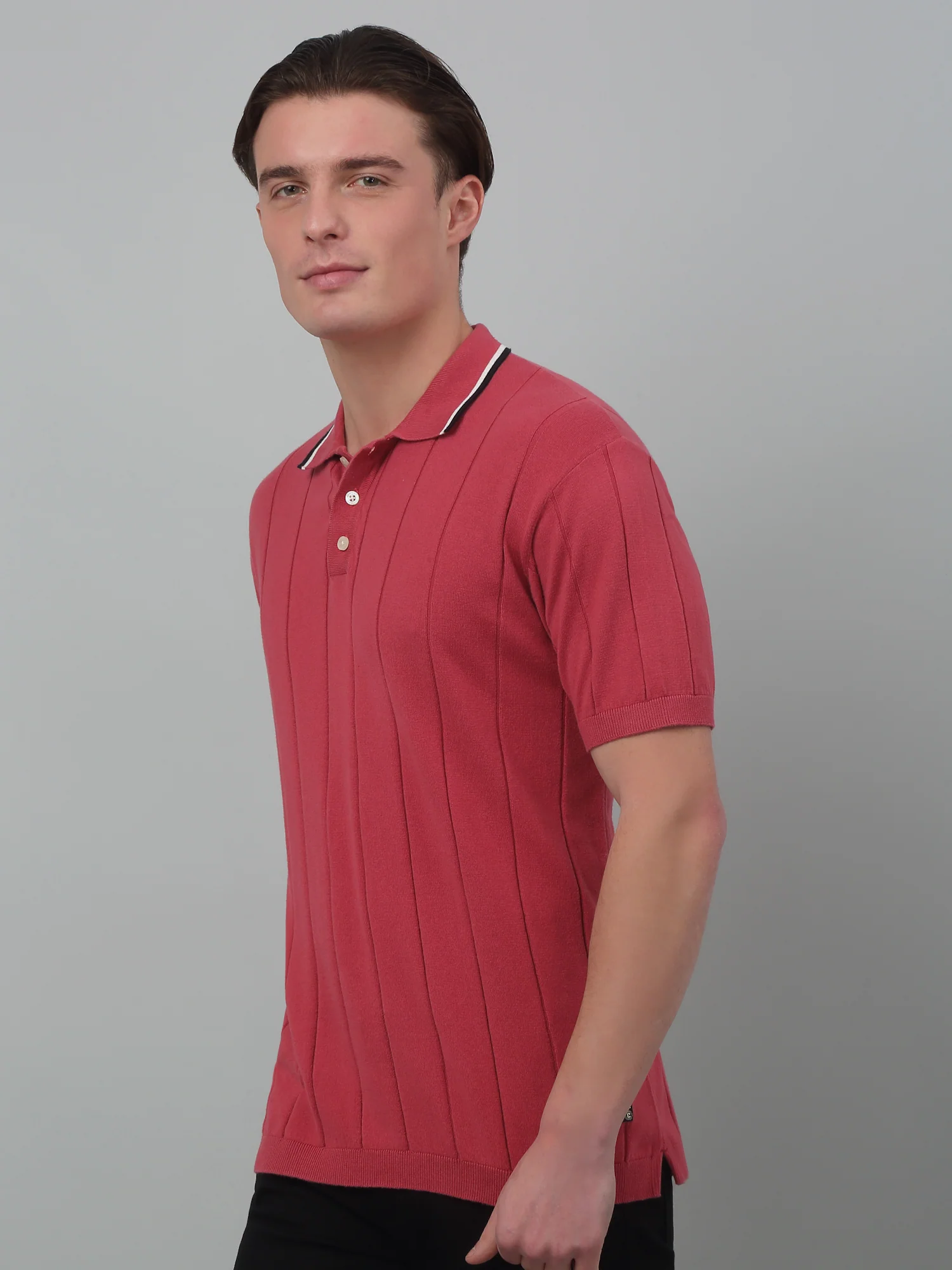 T-Shirt for Men | Breathable & Soft with Color Fastness Regular Fit Polo Neck Cotton Fabric Striped Pattern - Image 4