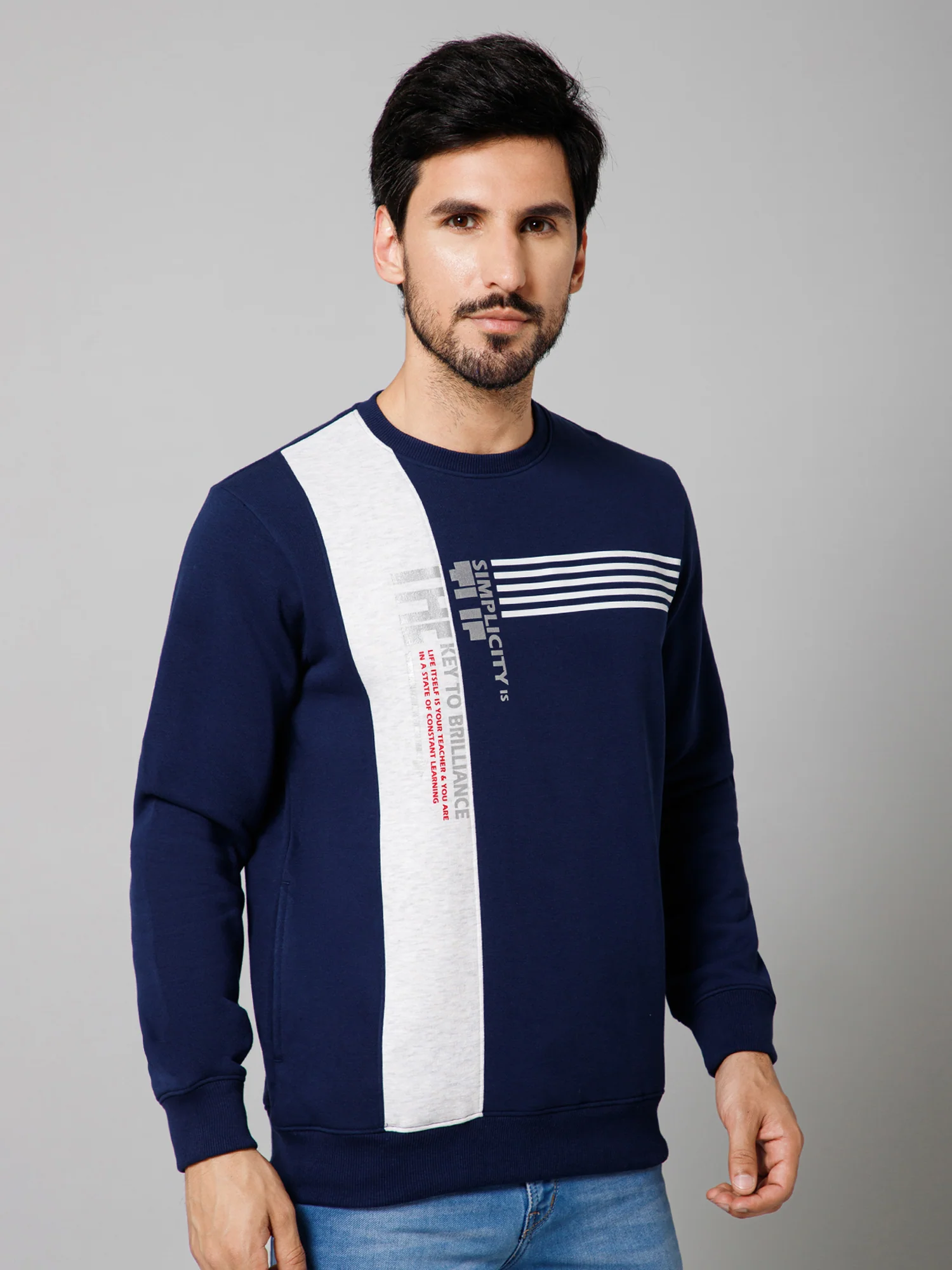 Printed Blue Full Sleeves Round Neck Regular Fit Casual Sweatshirt For Men - Image 3