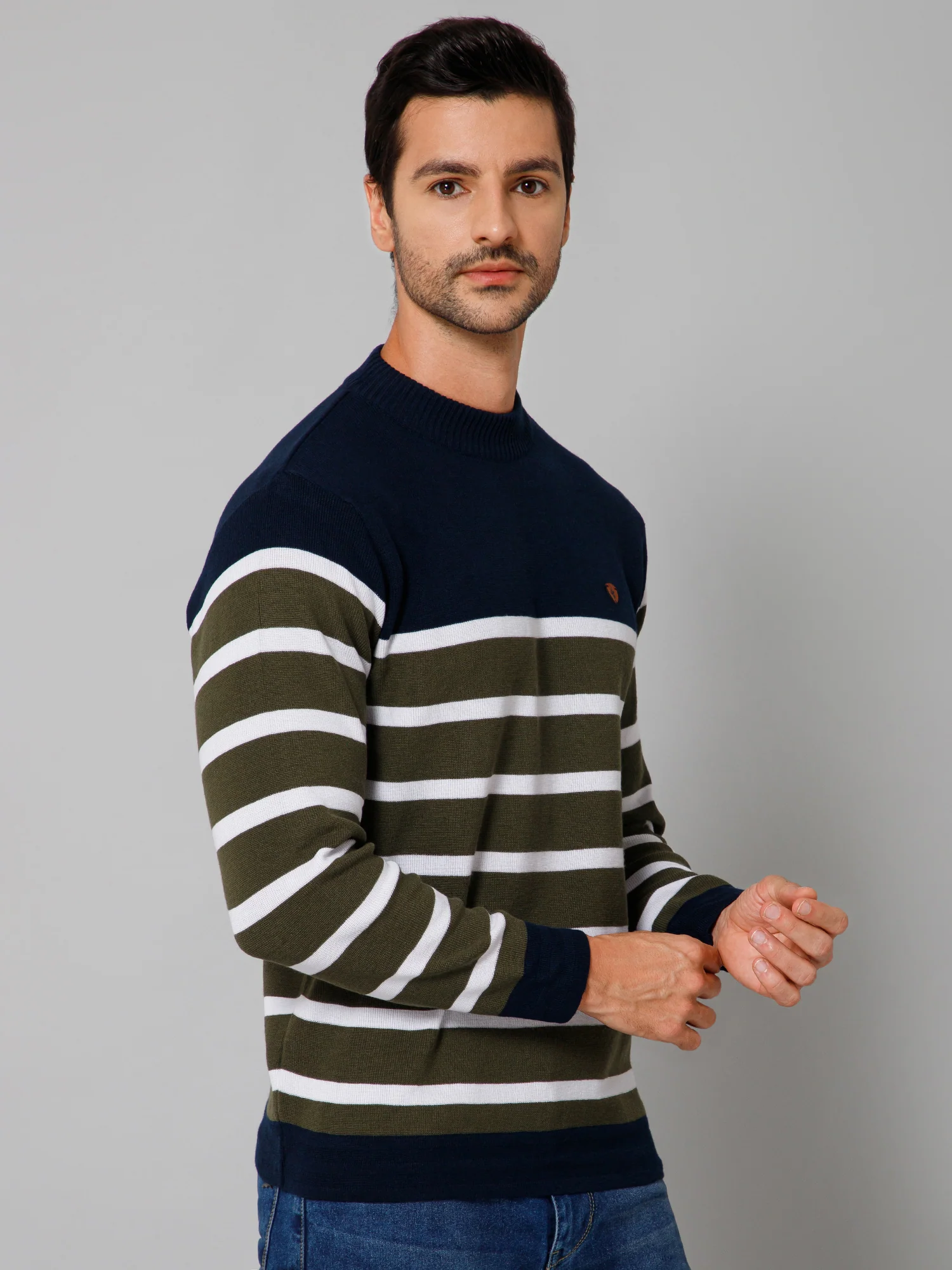 Stripe Green Full Sleeves Round Neck Regular Fit Casual Sweater for Men - Image 3