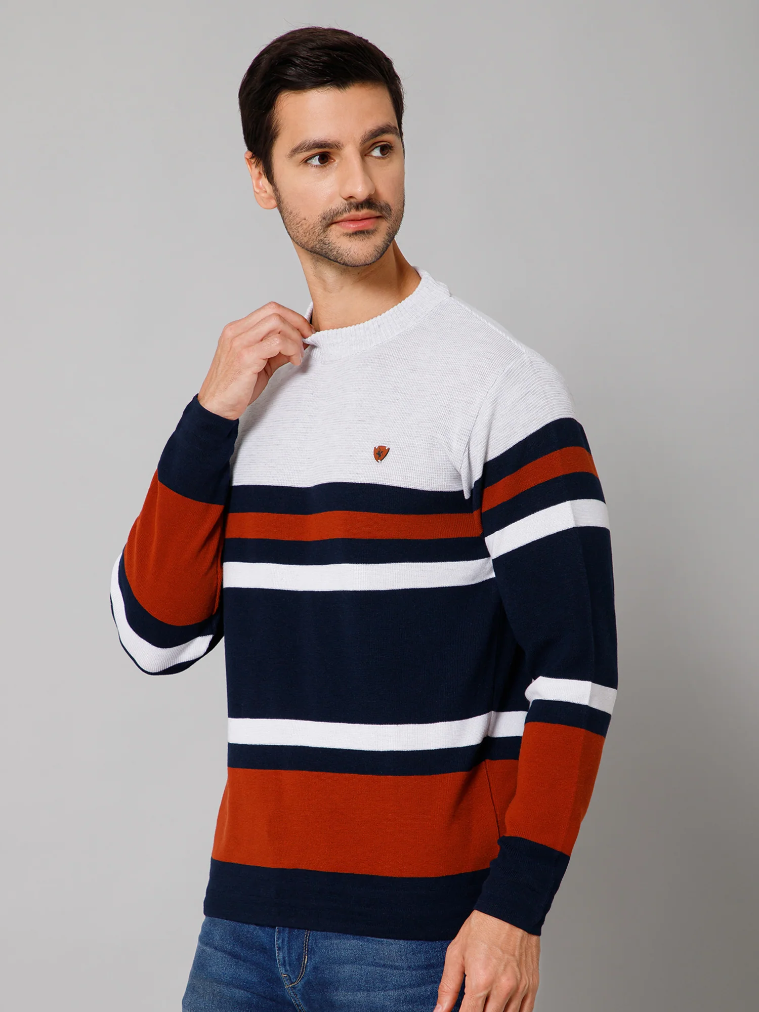 Stripe Rust Full Sleeves Round Neck Regular Fit Casual Sweater for Men - Image 2