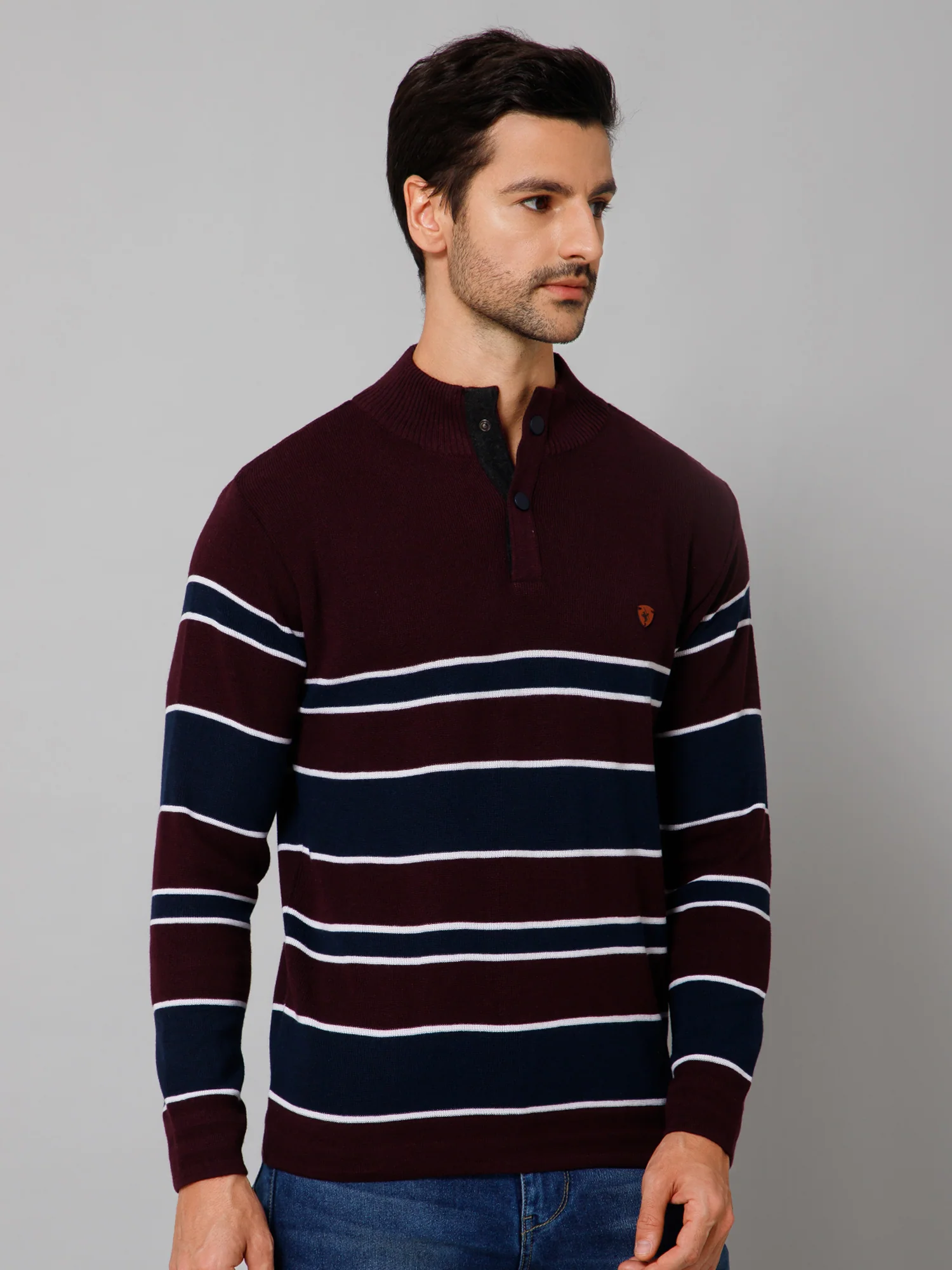 Stripe Wine Full Sleeves Band Collar Regular Fit Casual Sweater for Men - Image 3