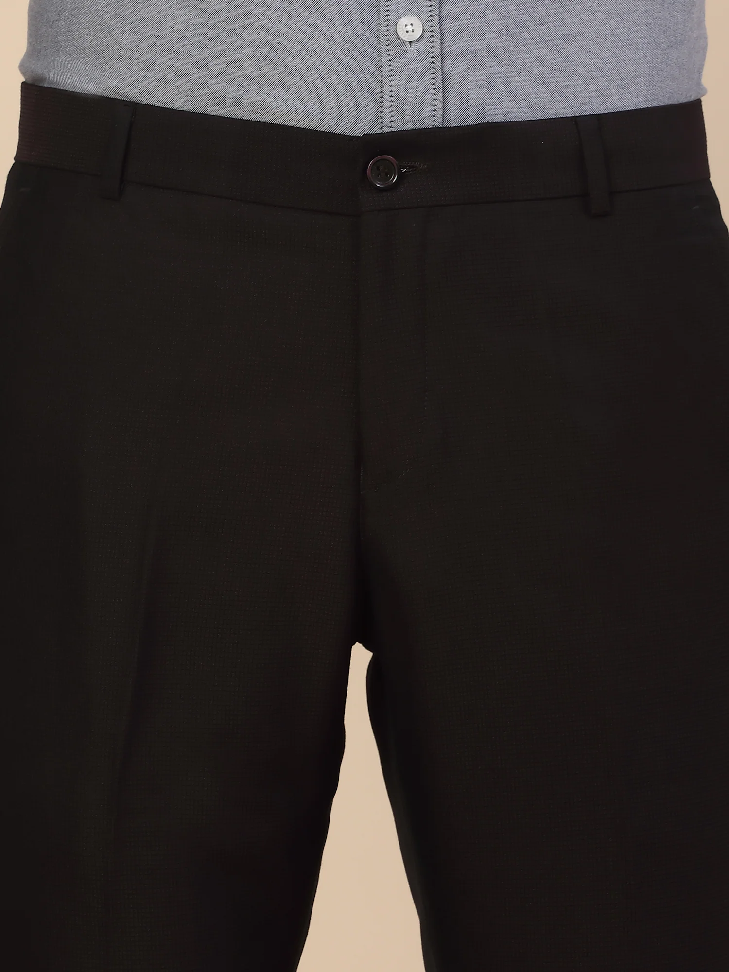 Formal Trouser for Men | Breathable & Soft with Color Fastness Regular Fit Terry Rayon Fabric Self Design Pattern Button Closure - Image 4