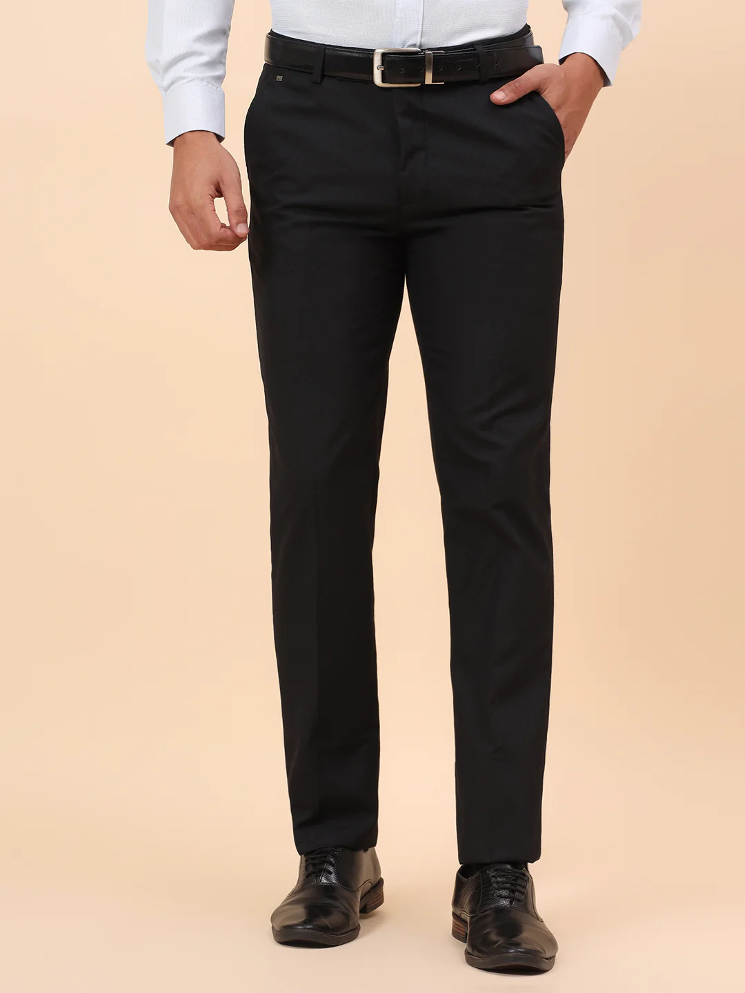 Formal Trousers for Men l Breathable & Soft with Color Fastness Regular Fit Poly Viscose Fabric Self Design Pattern Hook & Eye Closure - Image 3