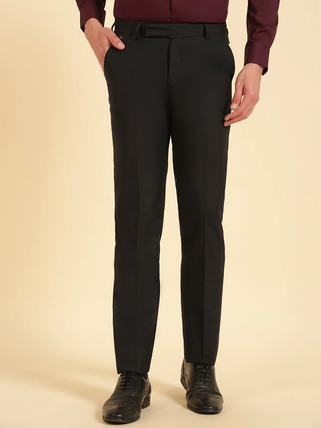 Formal Trouser for Men | Breathable & Soft with Color Fastness Regular Fit Poly Viscose Fabric Self Design Pattern Hook & Eye Closure - Image 3