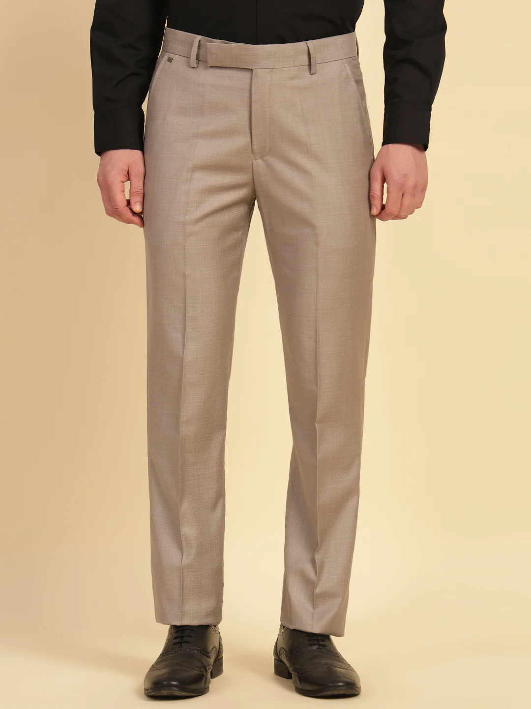 Formal Trouser for Men | Breathable & Soft with Color Fastness Regular Fit Terry Rayon Fabric Self Design Pattern Hook & Eye Closure - Image 3