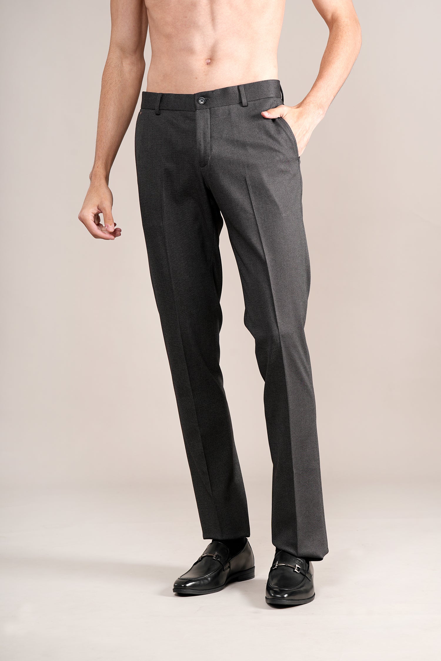 Formal Trouser for Men | Breathable & Soft with Color Fastness Regular Fit Terry Rayon Fabric Self Design Pattern Hook & Eye Closure - Image 3