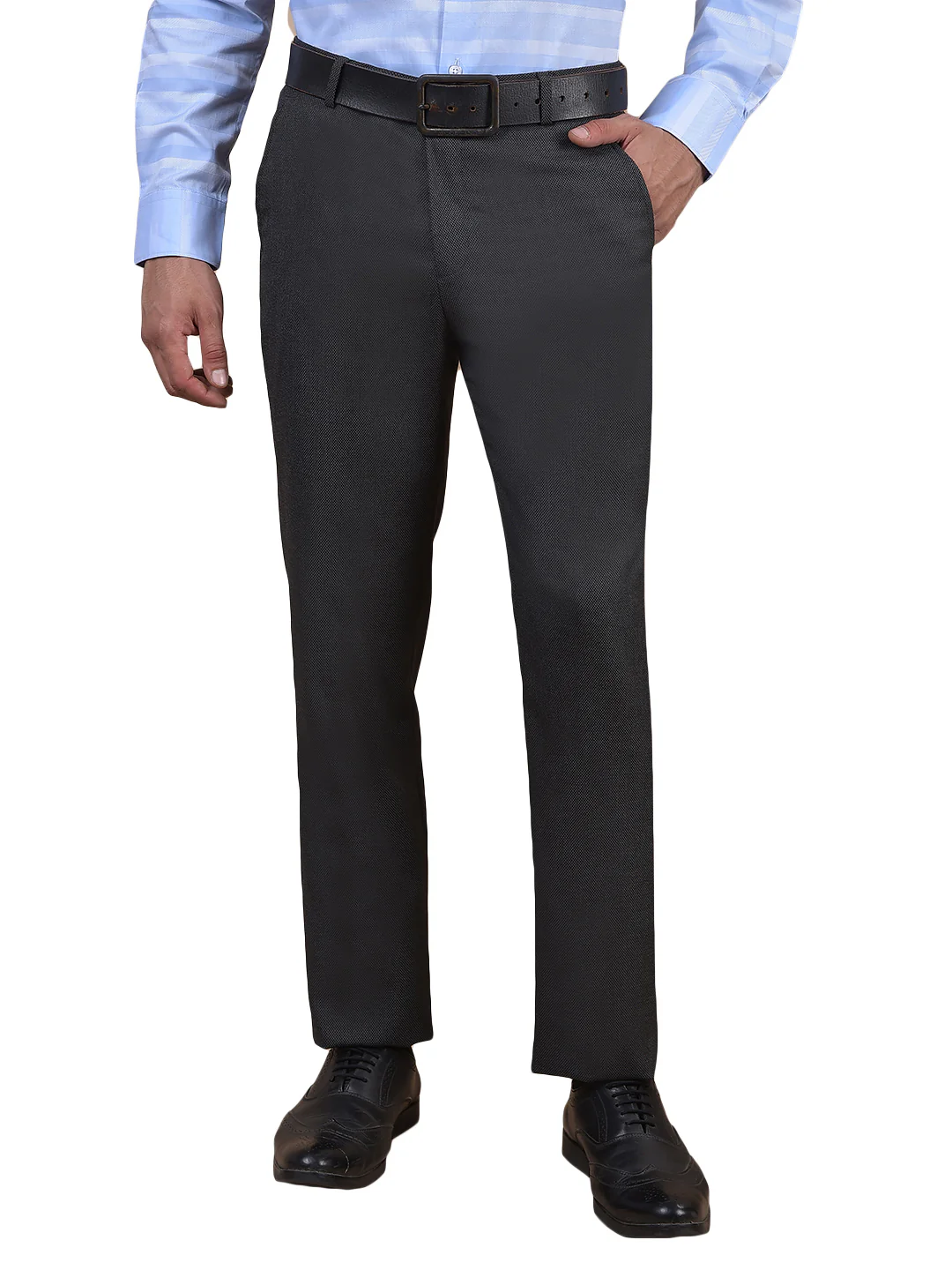 Formal Trouser for Men | Breathable & Soft with Color Fastness Regular Fit Poly Viscose Fabric Self Design Pattern Hook & Eye Closure - Image 2