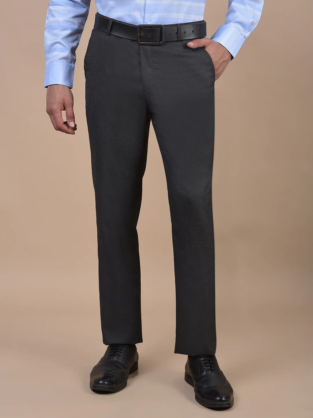 Formal Trouser for Men | Breathable & Soft with Color Fastness Regular Fit Poly Viscose Fabric Self Design Pattern Hook & Eye Closure - Image 4