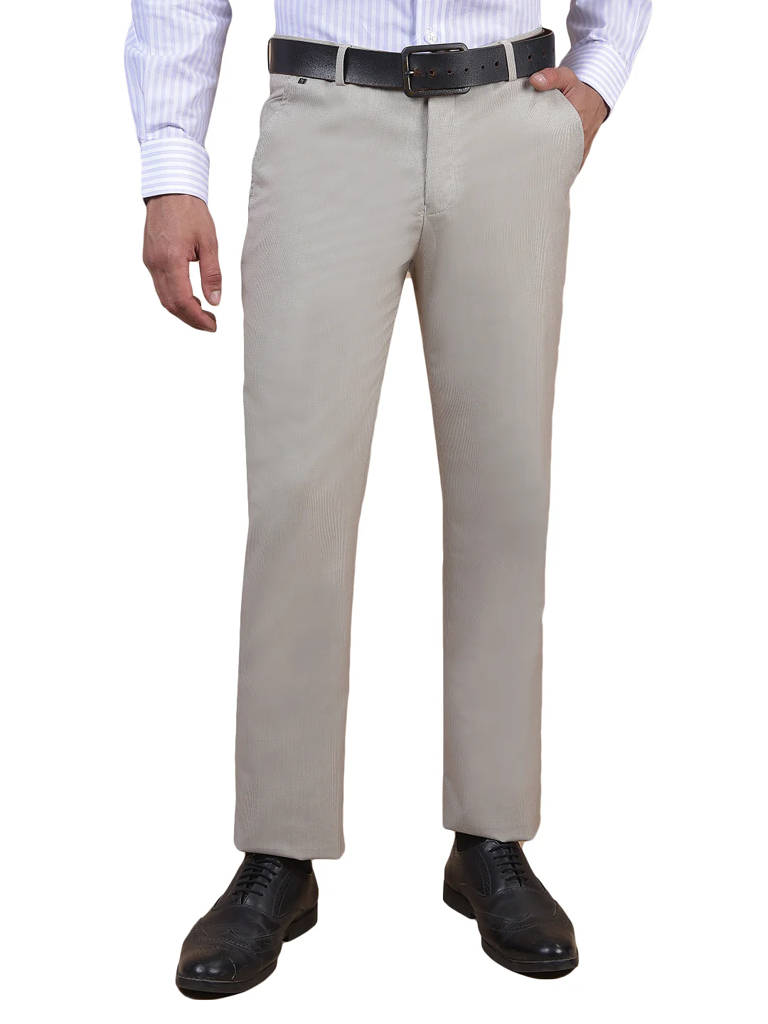 Formal Trouser for Men | Breathable & Soft with Color Fastness Regular Fit Poly Viscose Fabric Self Design Pattern Hook & Eye Closure - Image 2