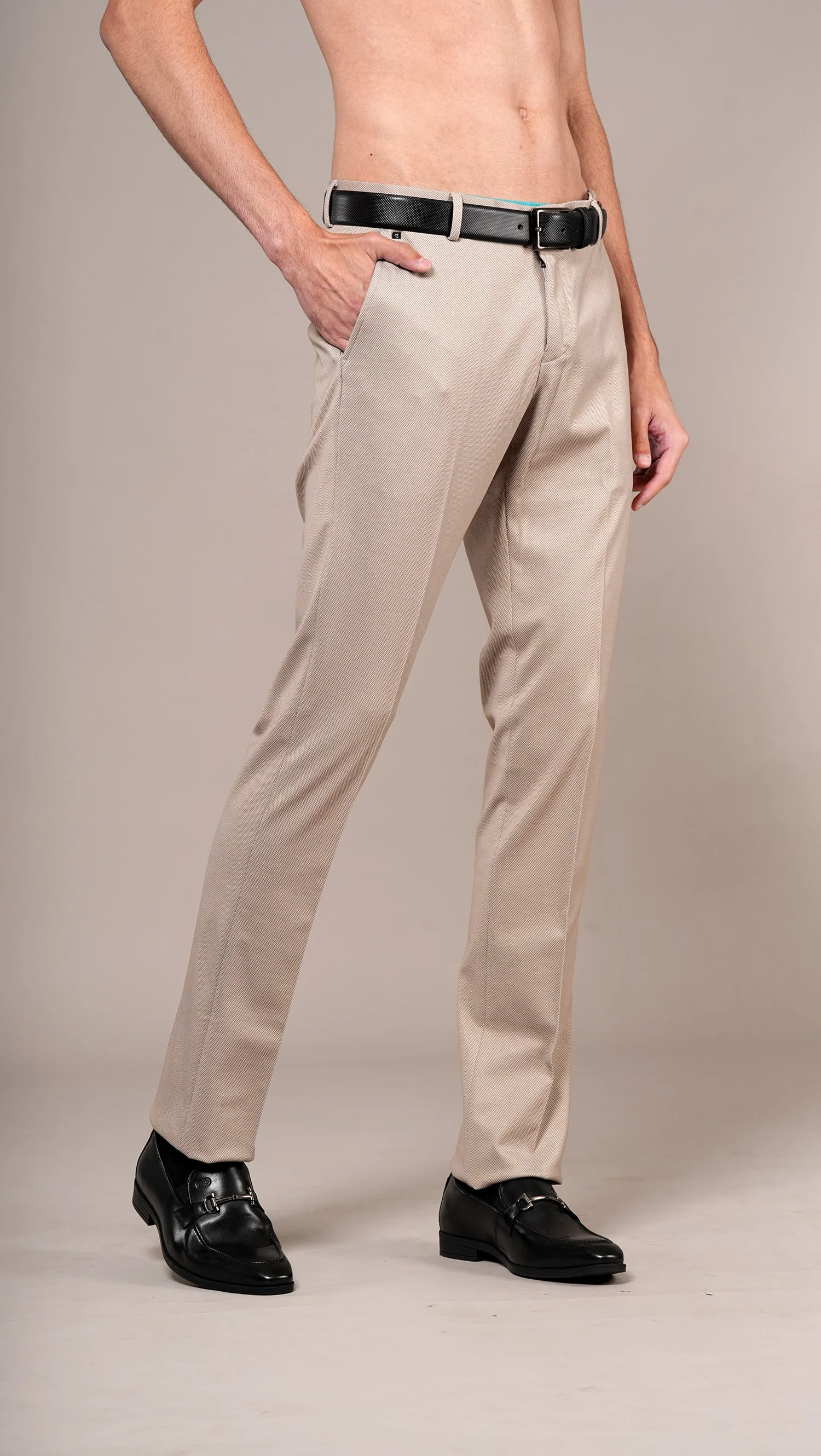 Formal Trouser for Men | Breathable & Soft with Color Fastness Regular Fit Terry Rayon Fabric Self Design Pattern Hook & Eye Closure - Image 3