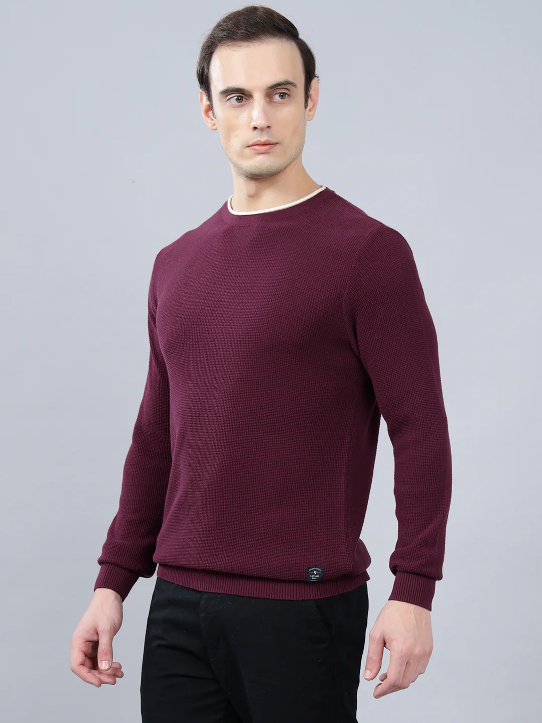 Men's Purple Self Design Full Sleeve Sweater - Image 4