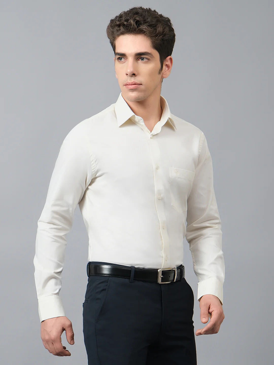 Formal Shirt for Men l Breathable & Soft with Color Fastness Regular Fit Spread Collar Neck Cotton Fabric Self Design Pattern - Image 4