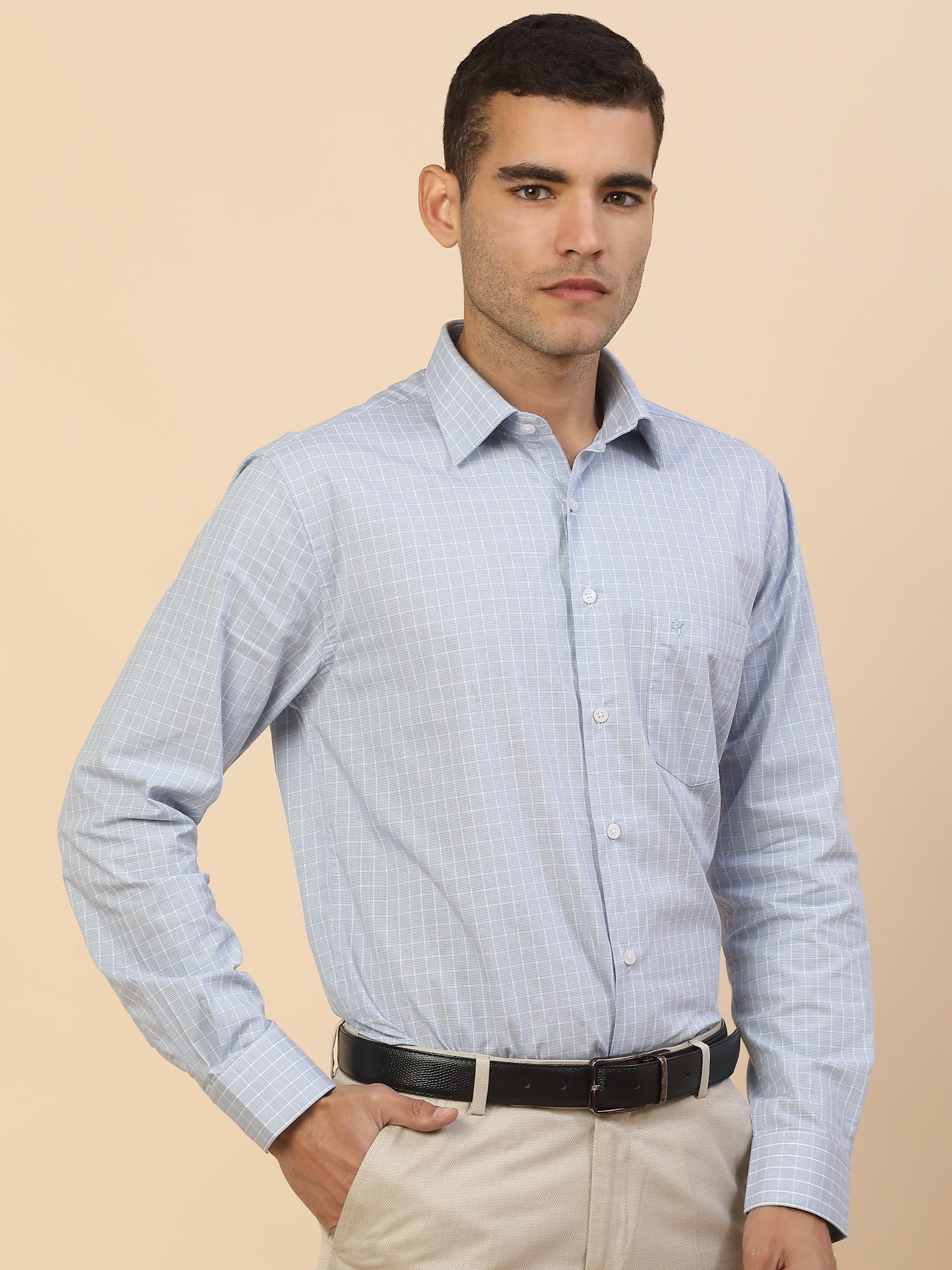 Men's Stylish Checkered Formal Shirt | Regular Fit | Full Sleeve | Pure Cotton | Smart Formal Wear - Image 4