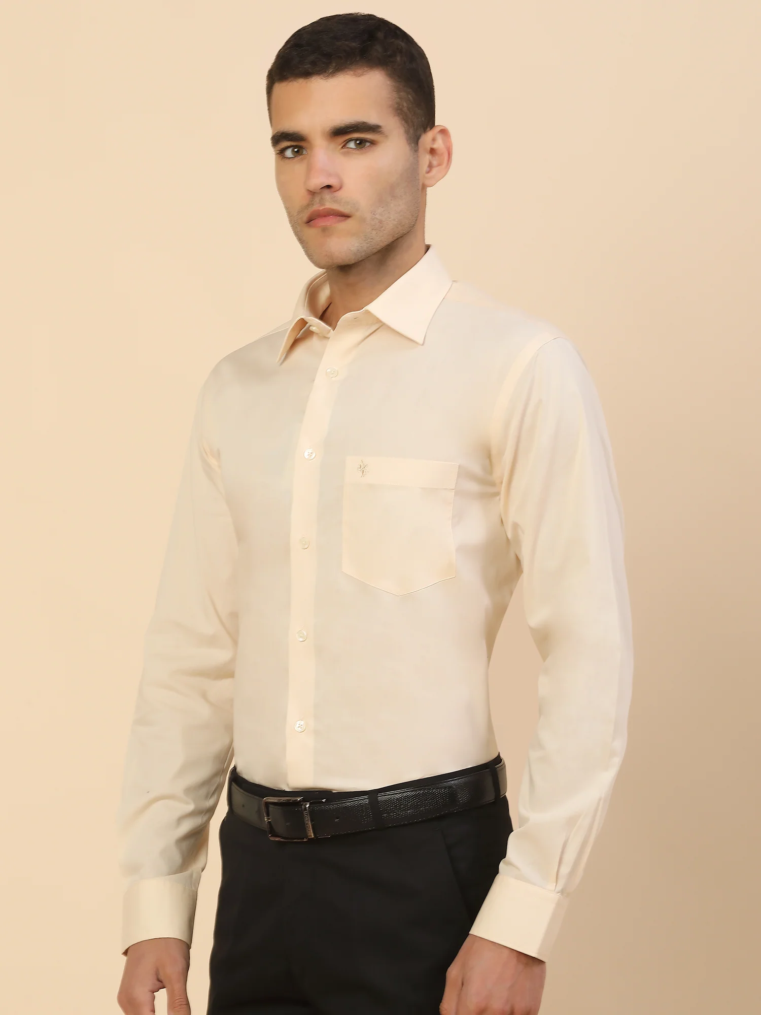 Men's Stylish Solid Formal Shirt | Regular Fit | Full Sleeve | Pure Cotton | Smart Formal Wear - Image 4