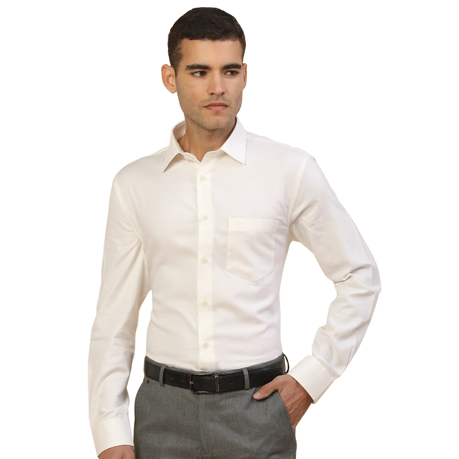 Men's Stylish Solid Formal Shirt | Regular Fit | Full Sleeve | Polyester | Smart Formal Wear - Image 9