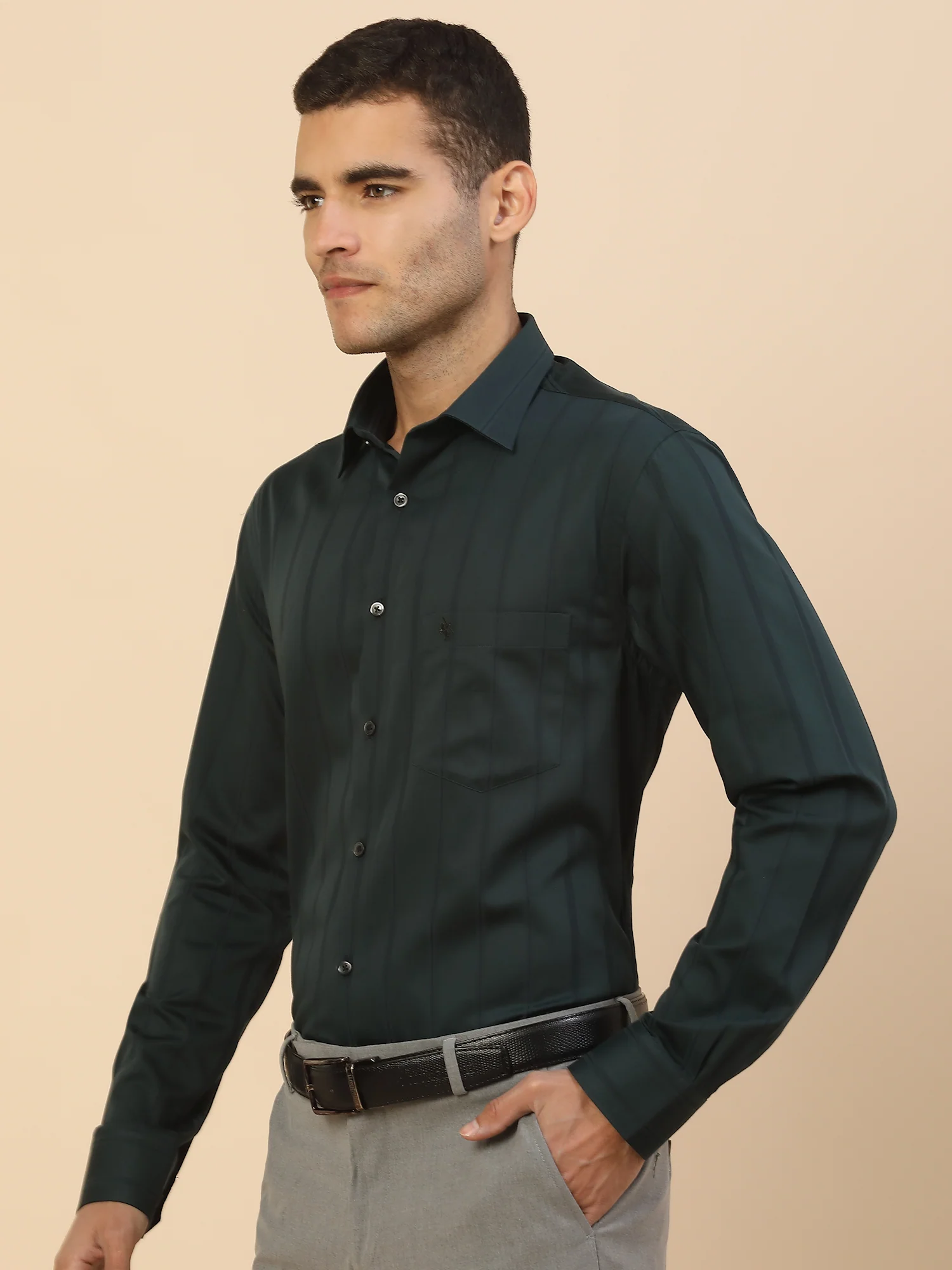 Men's Stylish Striped Formal Shirt | Regular Fit | Full Sleeve | Pure Cotton | Smart Formal Wear - Image 3