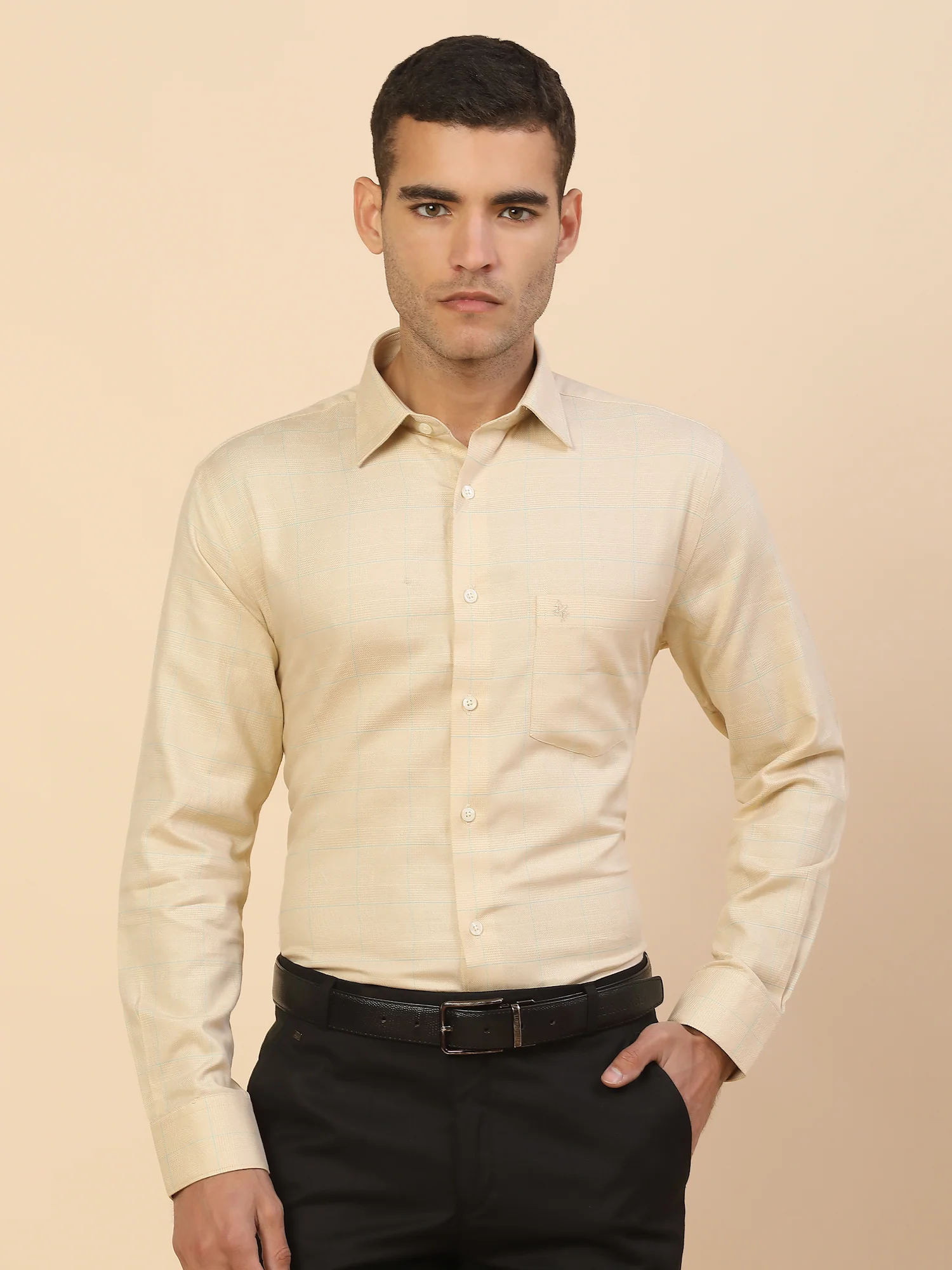 Men's Stylish Checkered Formal Shirt | Regular Fit | Full Sleeve | Pure Cotton | Smart Formal Wear - Image 3