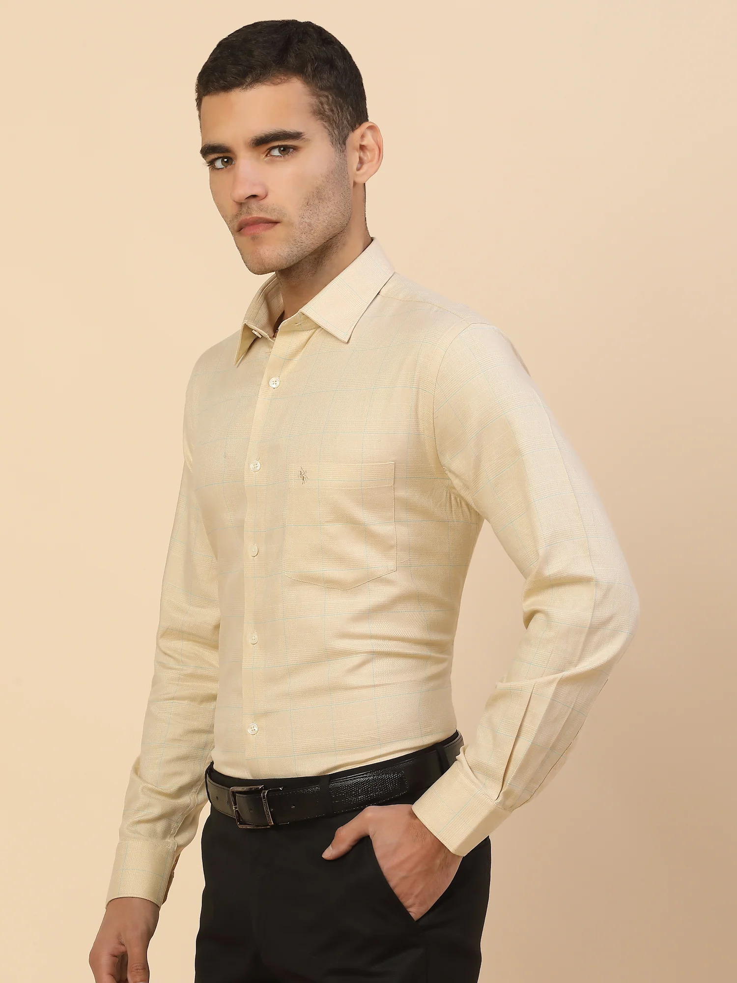 Men's Stylish Checkered Formal Shirt | Regular Fit | Full Sleeve | Pure Cotton | Smart Formal Wear - Image 4
