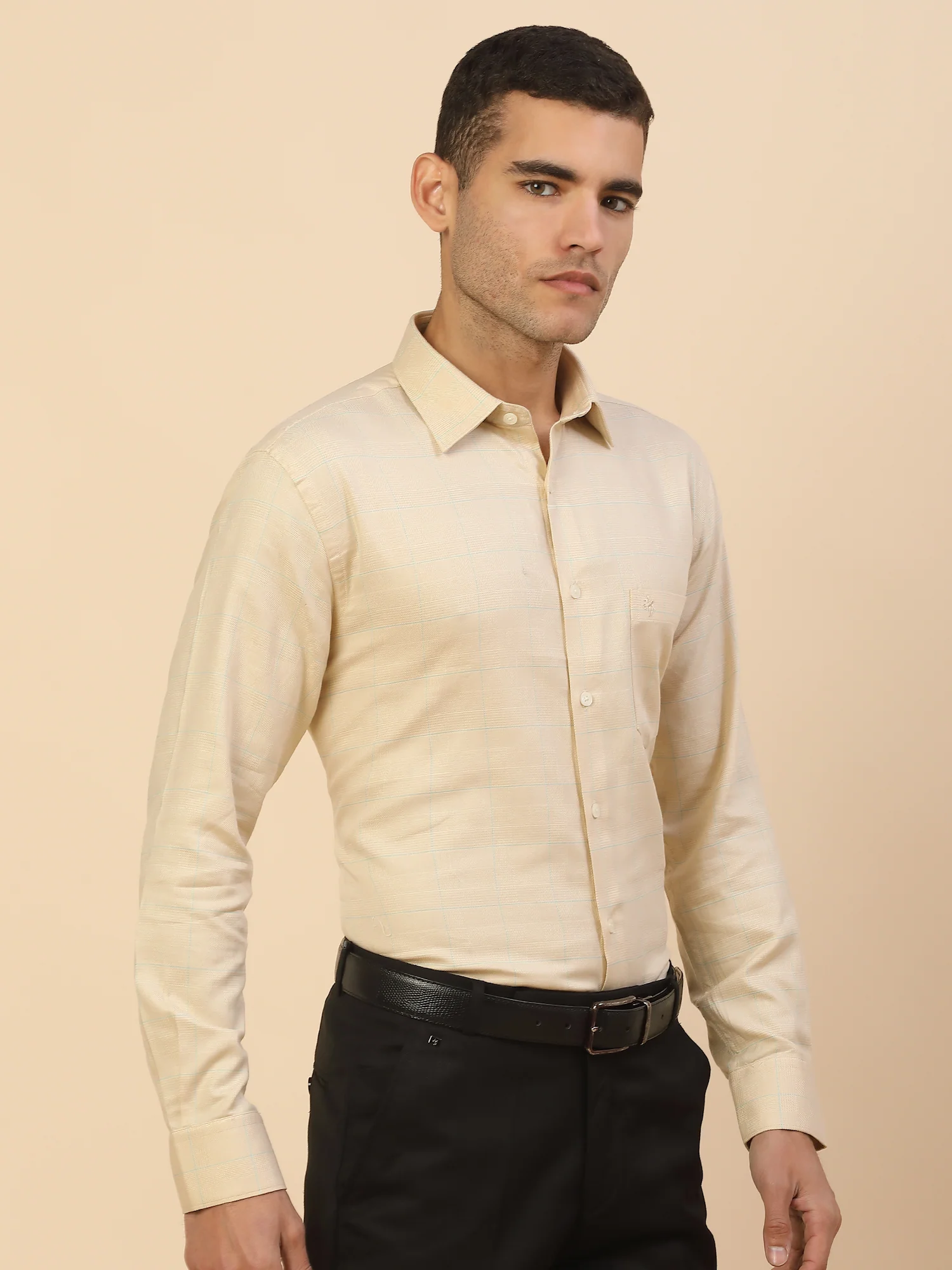 Men's Stylish Checkered Formal Shirt | Regular Fit | Full Sleeve | Pure Cotton | Smart Formal Wear - Image 5