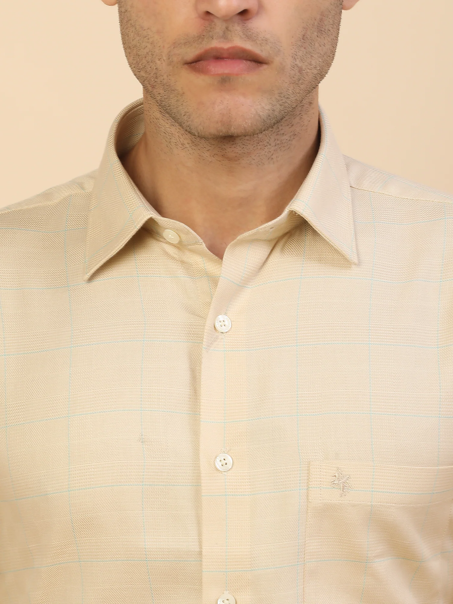 Men's Stylish Checkered Formal Shirt | Regular Fit | Full Sleeve | Pure Cotton | Smart Formal Wear - Image 6