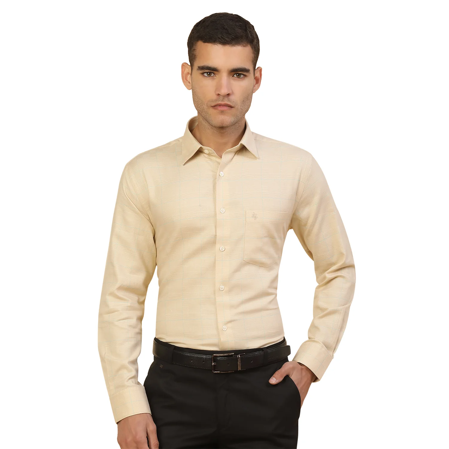 Men's Stylish Checkered Formal Shirt | Regular Fit | Full Sleeve | Pure Cotton | Smart Formal Wear - Image 9
