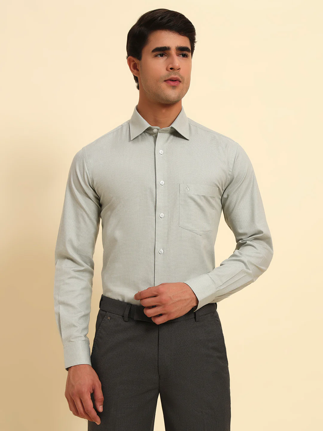 Formal Shirt for Men l Breathable & Soft with Color Fastness Regular Fit Spread Collar Neck Cotton Fabric Self Design Pattern - Image 3