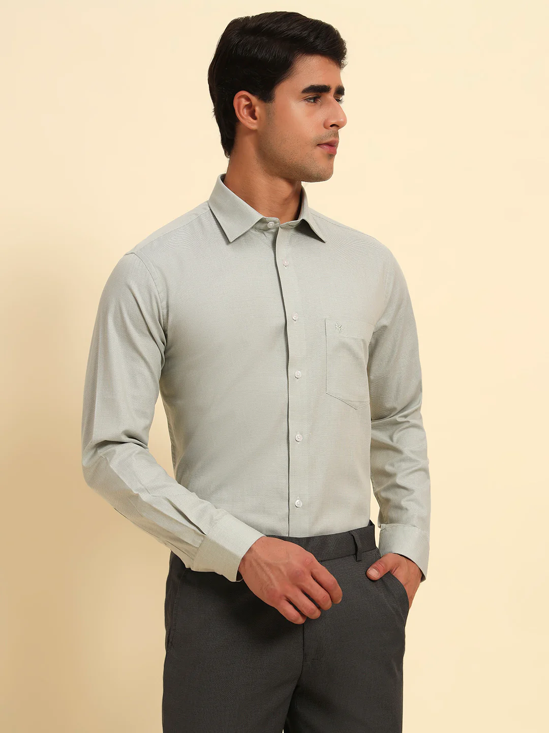 Formal Shirt for Men l Breathable & Soft with Color Fastness Regular Fit Spread Collar Neck Cotton Fabric Self Design Pattern - Image 4