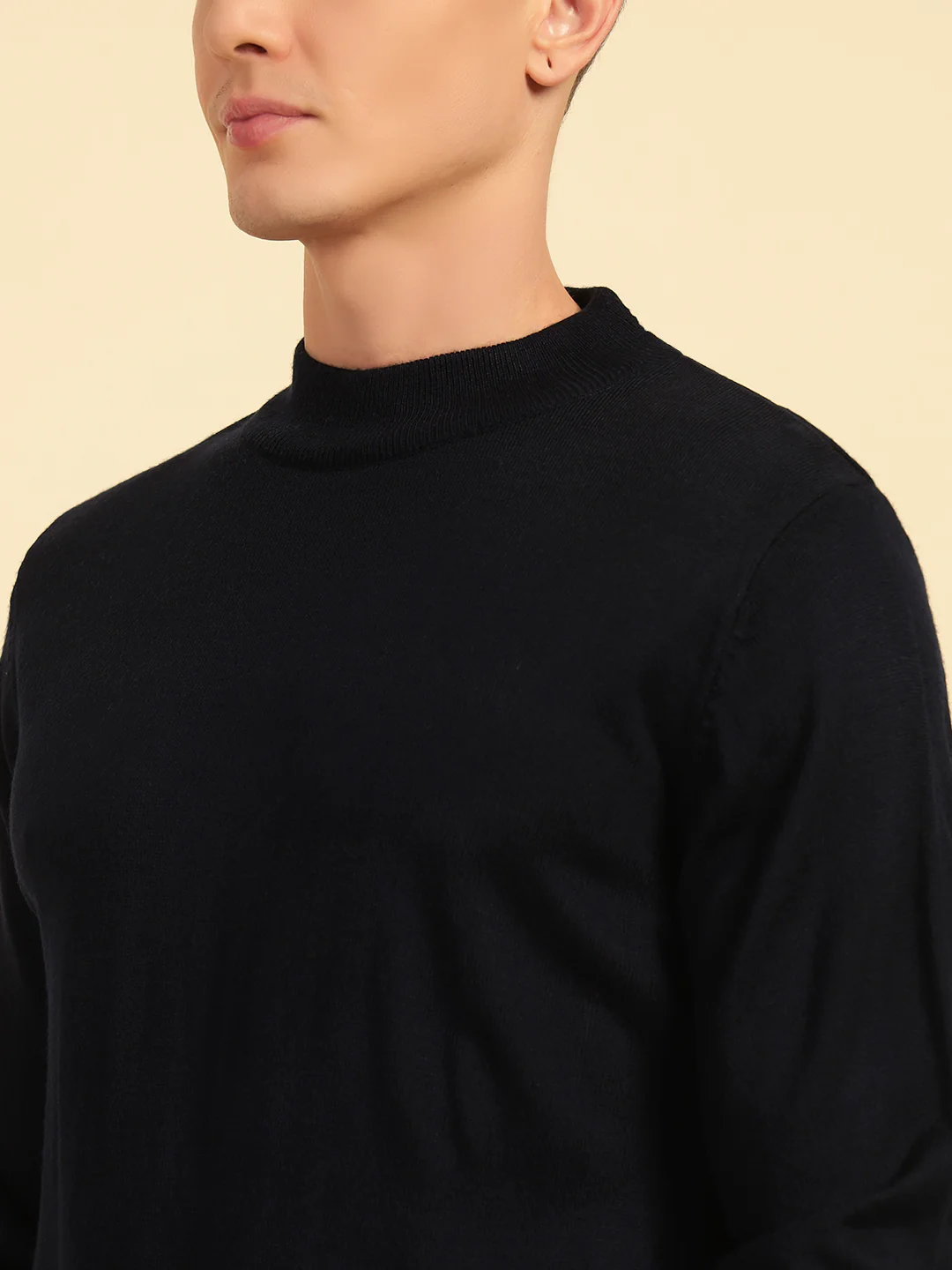 Sweater for Men | Winter Wear Acrylic Fabric Pull-On Closure Mock Neck Regular Fit Striped Pattern - Image 7