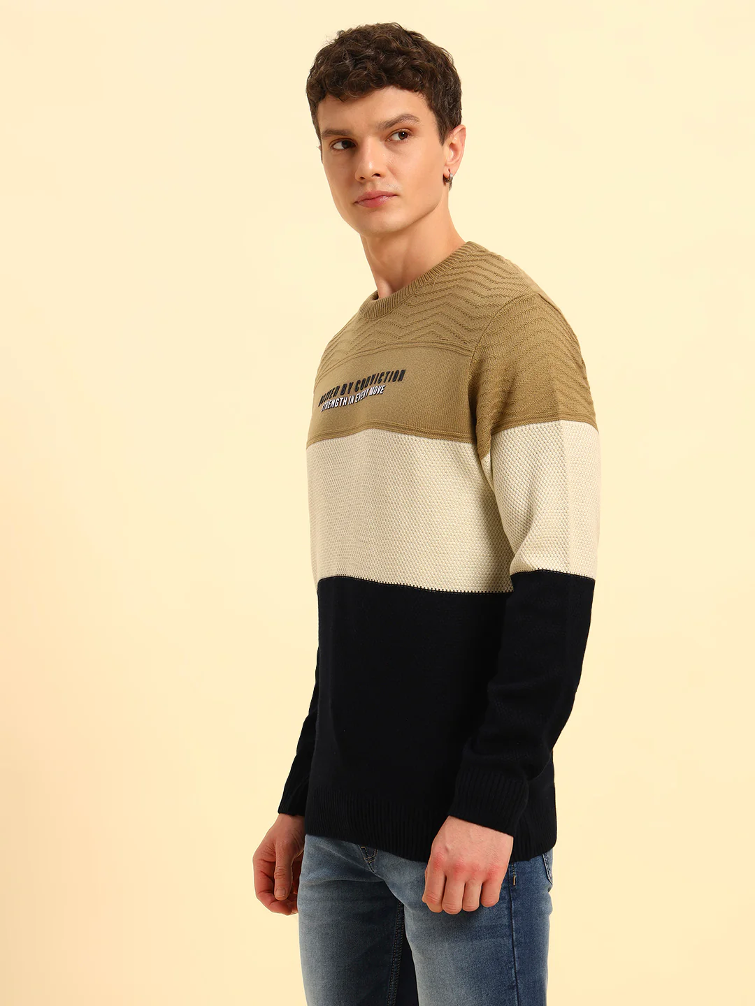 Sweater for Men | Winter Wear Acrylic Fabric Pull-On Closure Round Neck Regular Fit Colour Block Pattern - Image 5