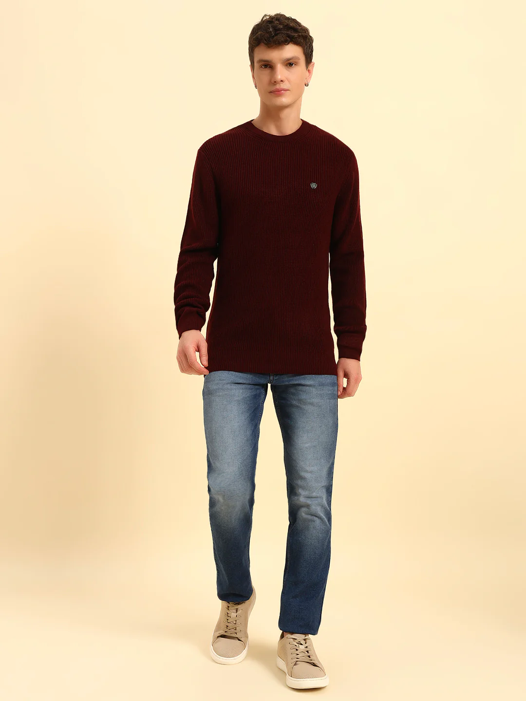 Sweater for Men | Winter Wear Acrylic Fabric Pull-On Closure Round Neck Regular Fit Self Design Pattern - Image 2