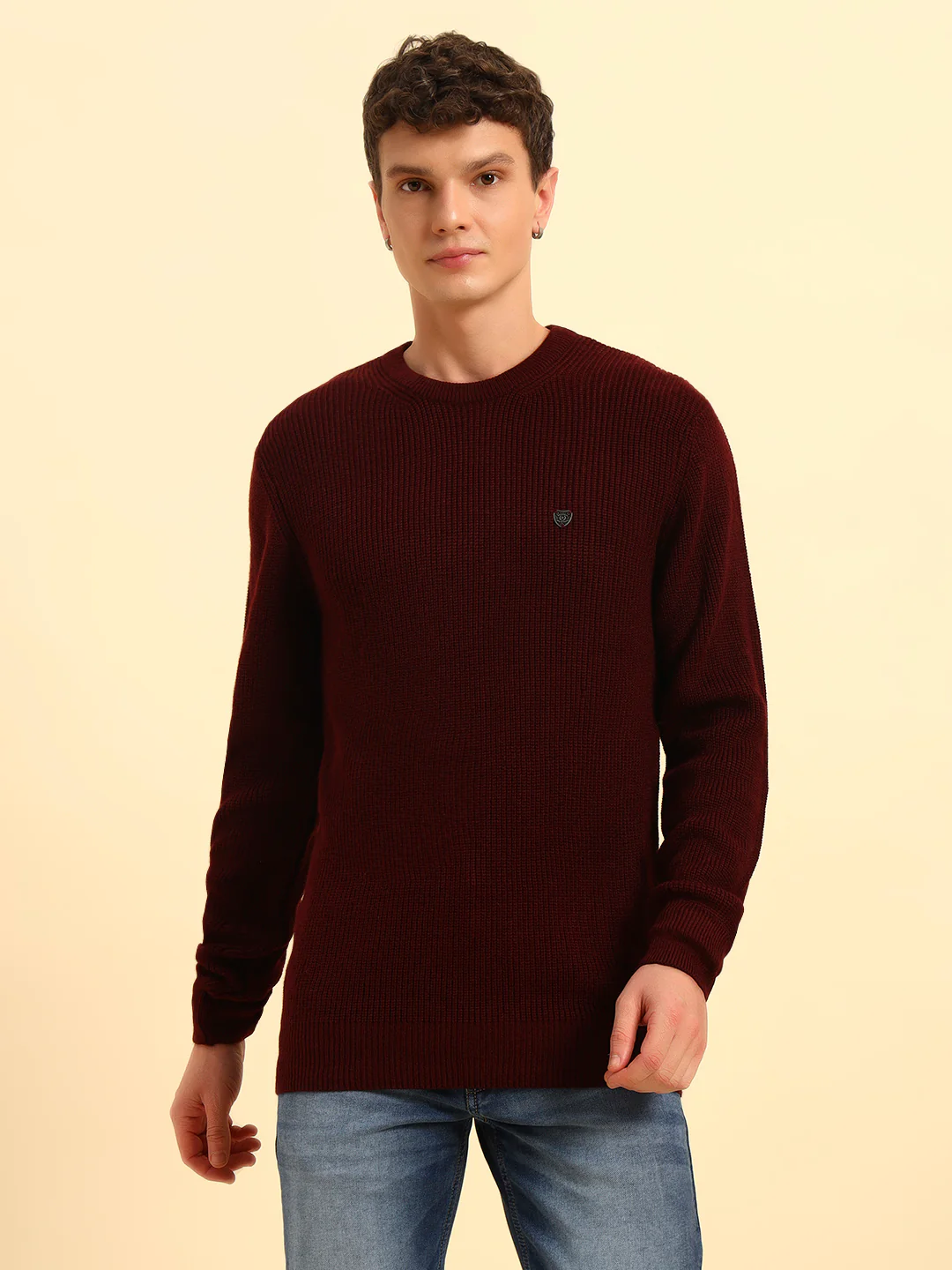 Sweater for Men | Winter Wear Acrylic Fabric Pull-On Closure Round Neck Regular Fit Self Design Pattern - Image 4