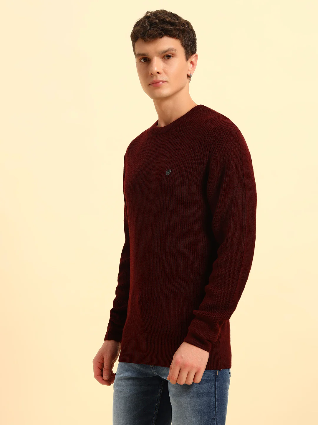Sweater for Men | Winter Wear Acrylic Fabric Pull-On Closure Round Neck Regular Fit Self Design Pattern - Image 5
