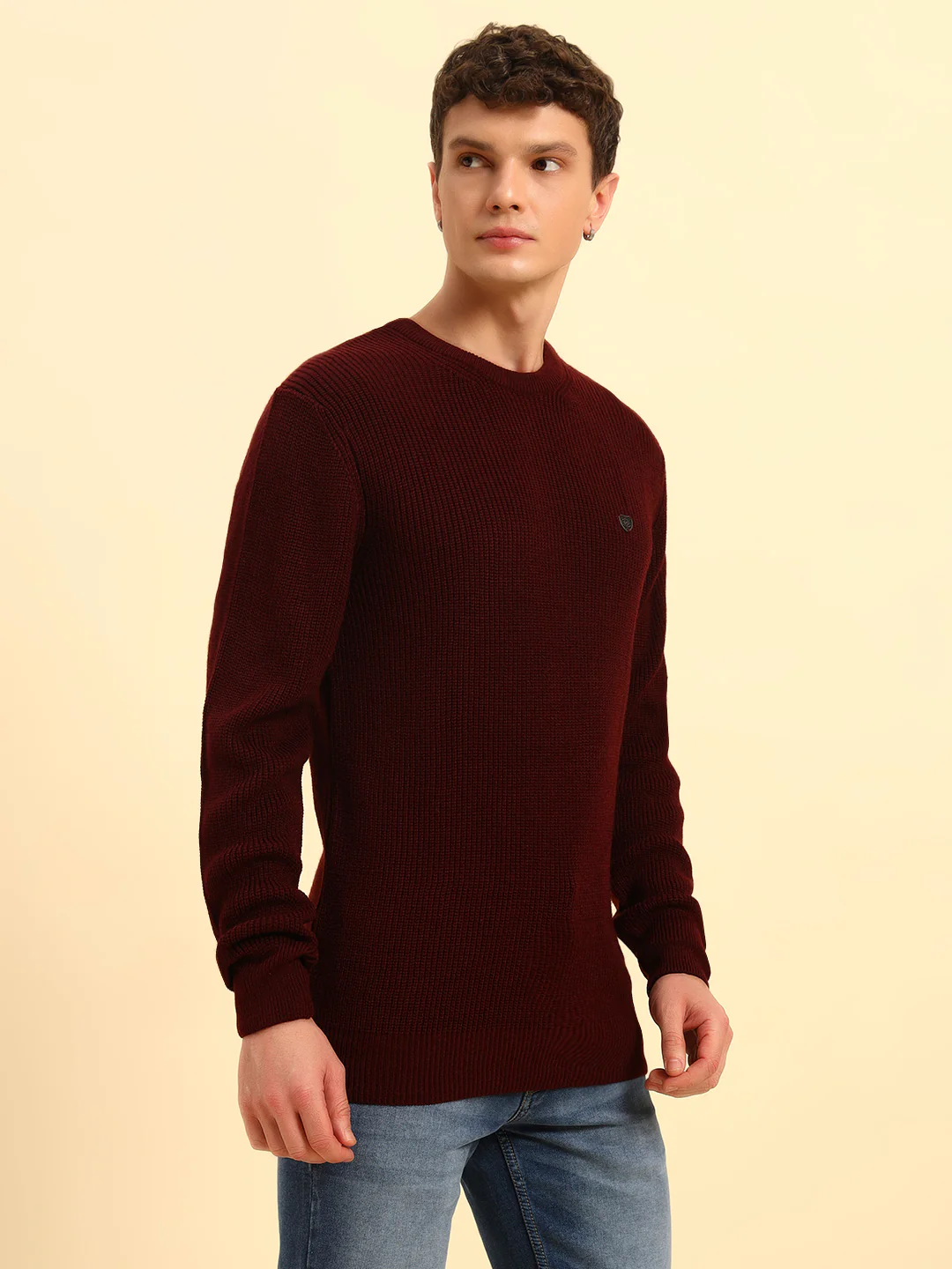 Sweater for Men | Winter Wear Acrylic Fabric Pull-On Closure Round Neck Regular Fit Self Design Pattern - Image 6