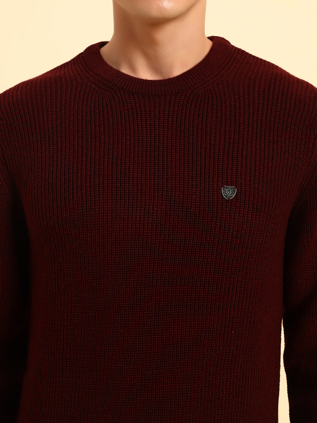 Sweater for Men | Winter Wear Acrylic Fabric Pull-On Closure Round Neck Regular Fit Self Design Pattern - Image 7