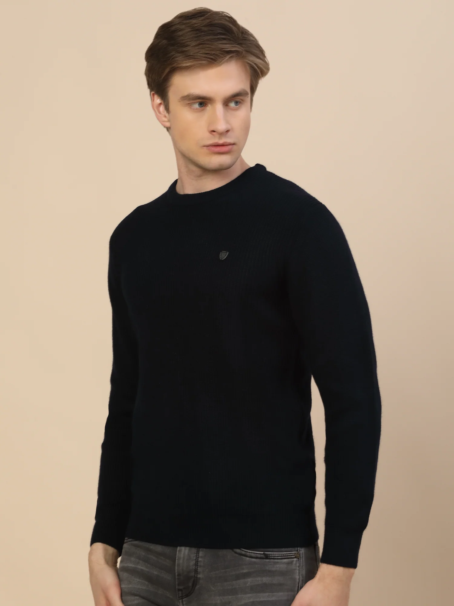 Sweater for Men | Winter Wear Acrylic Fabric Pull-On Closure Round Neck Regular Fit Self Design Pattern - Image 4