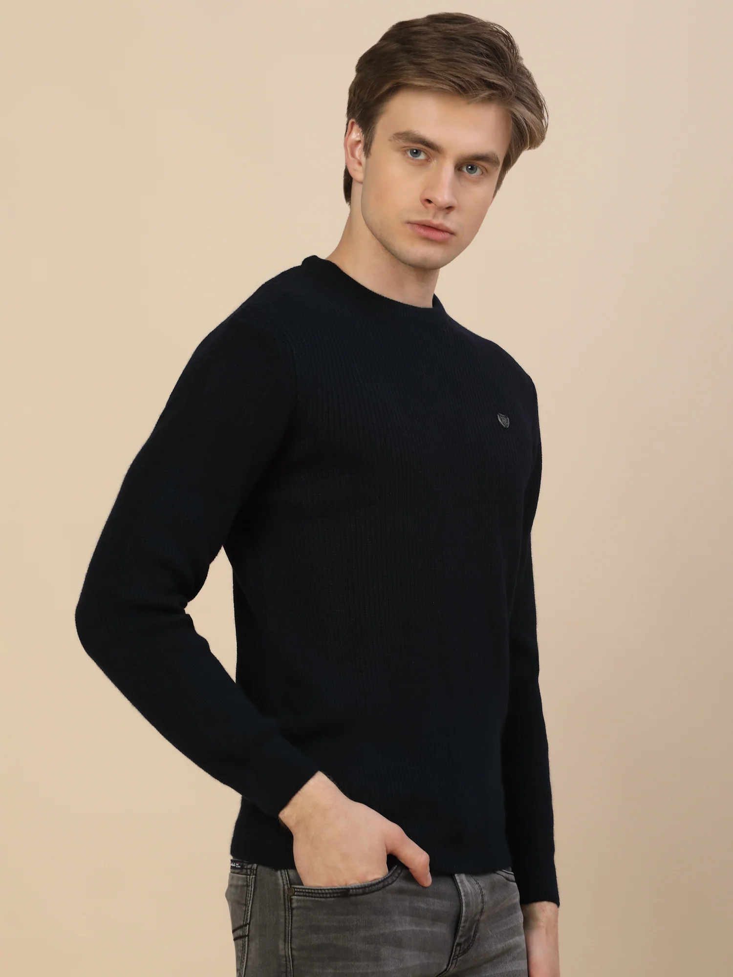 Sweater for Men | Winter Wear Acrylic Fabric Pull-On Closure Round Neck Regular Fit Self Design Pattern - Image 5