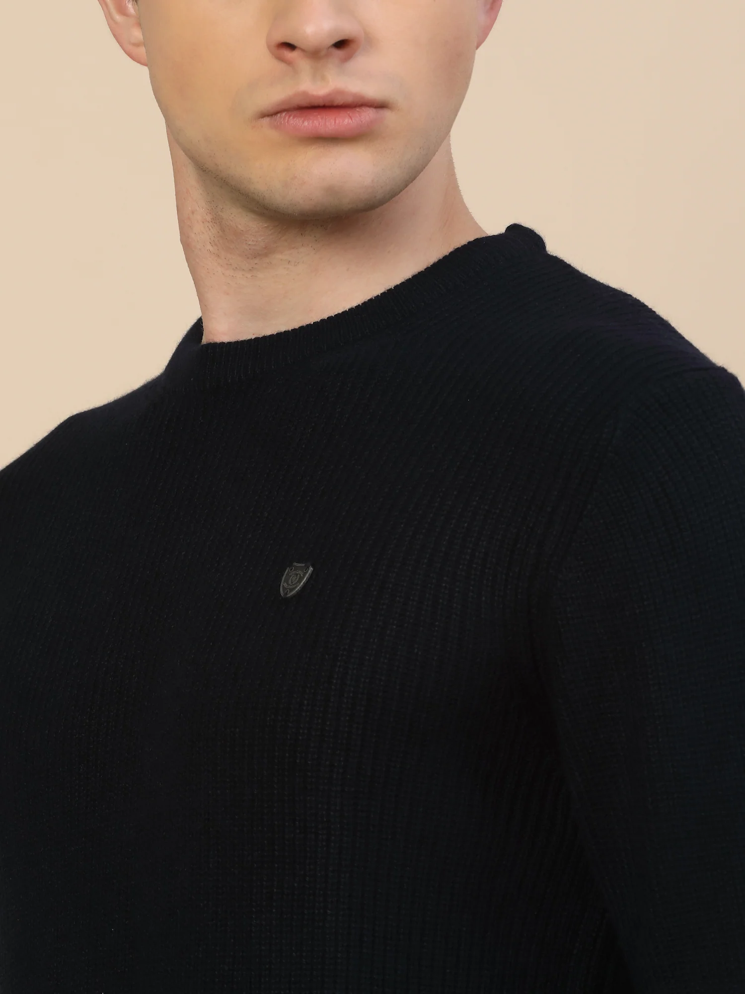 Sweater for Men | Winter Wear Acrylic Fabric Pull-On Closure Round Neck Regular Fit Self Design Pattern - Image 6