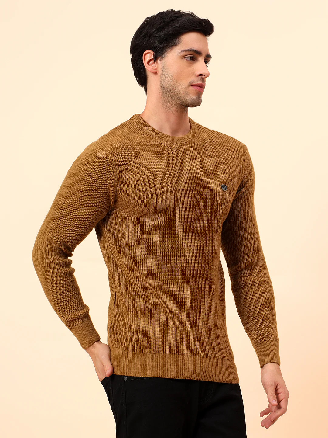 Sweater for Men | Winter Wear Acrylic Fabric Pull-On Closure Round Neck Regular Fit Self Design Pattern - Image 5