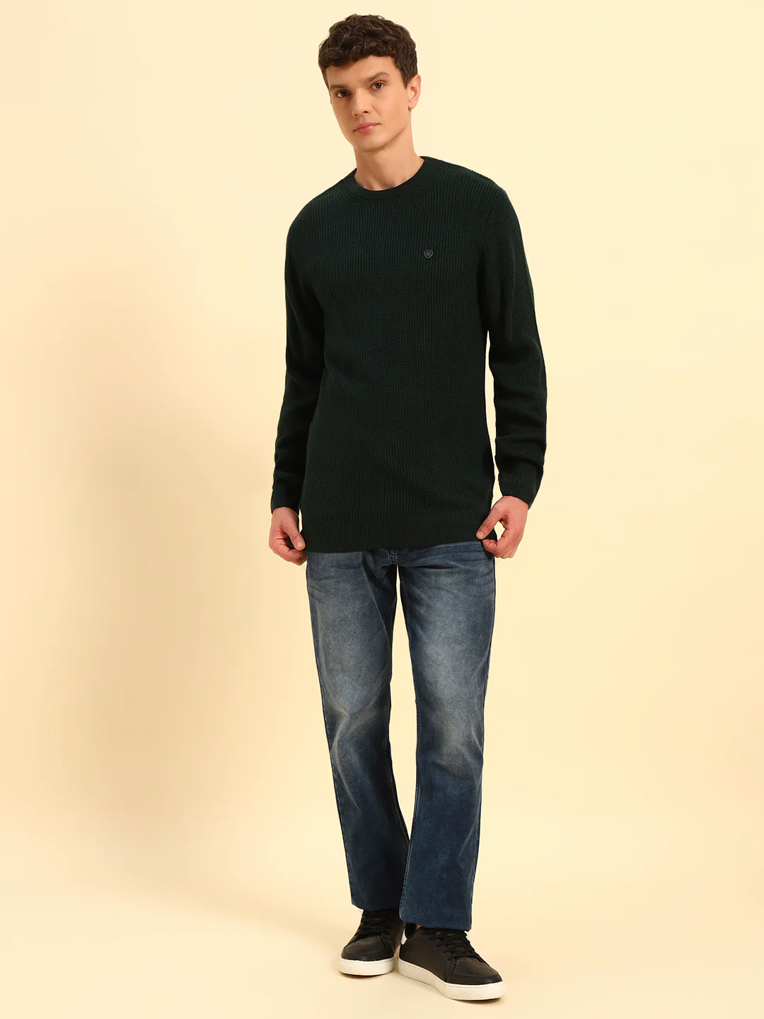 Sweater for Men | Winter Wear Acrylic Fabric Pull-On Closure Round Neck Regular Fit Self Design Pattern - Image 2