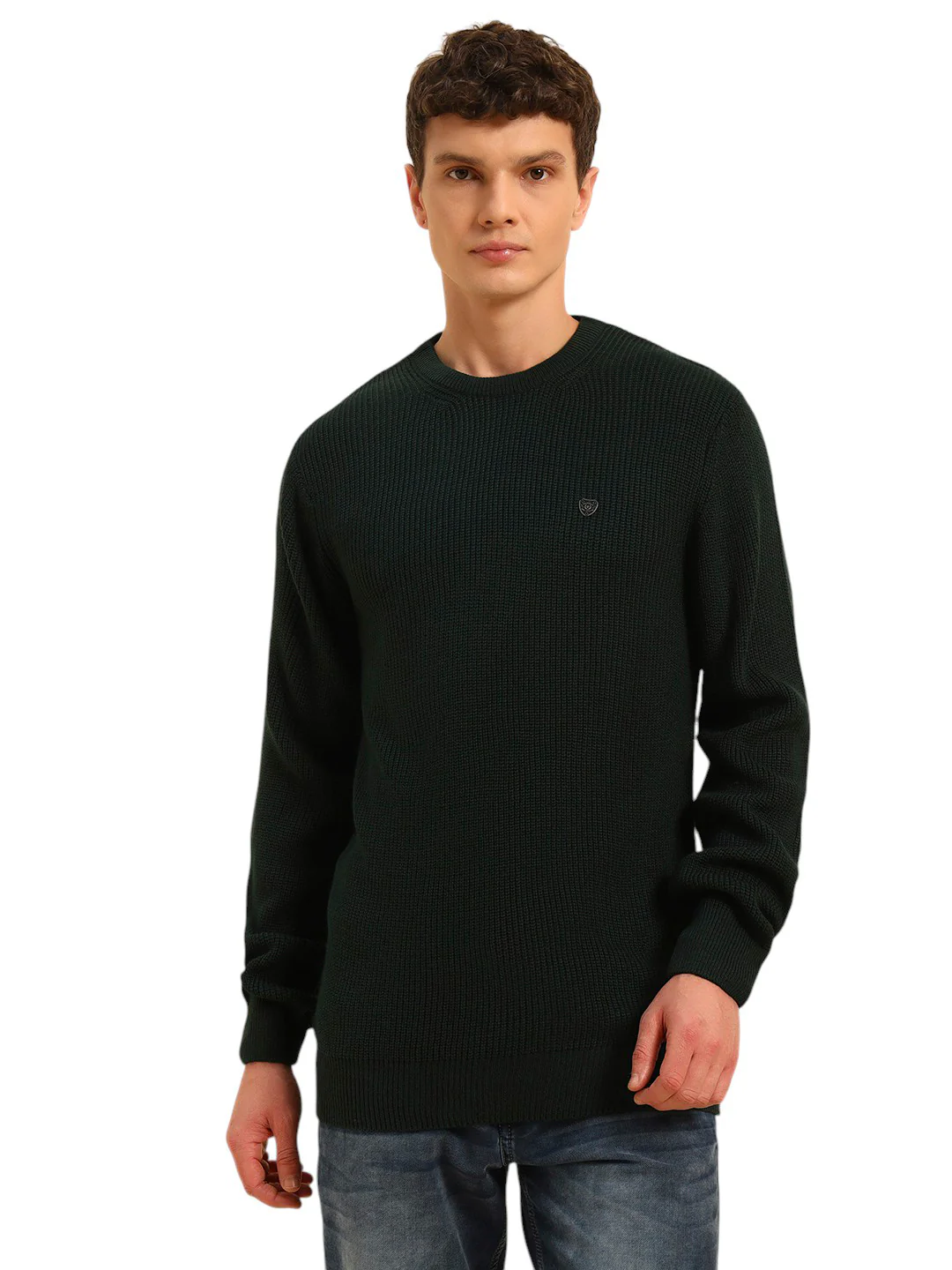 Sweater for Men | Winter Wear Acrylic Fabric Pull-On Closure Round Neck Regular Fit Self Design Pattern - Image 3