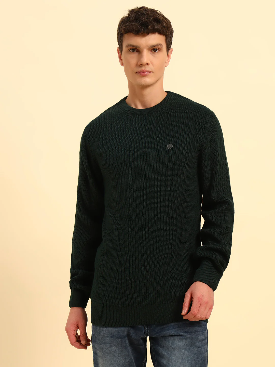Sweater for Men | Winter Wear Acrylic Fabric Pull-On Closure Round Neck Regular Fit Self Design Pattern - Image 4