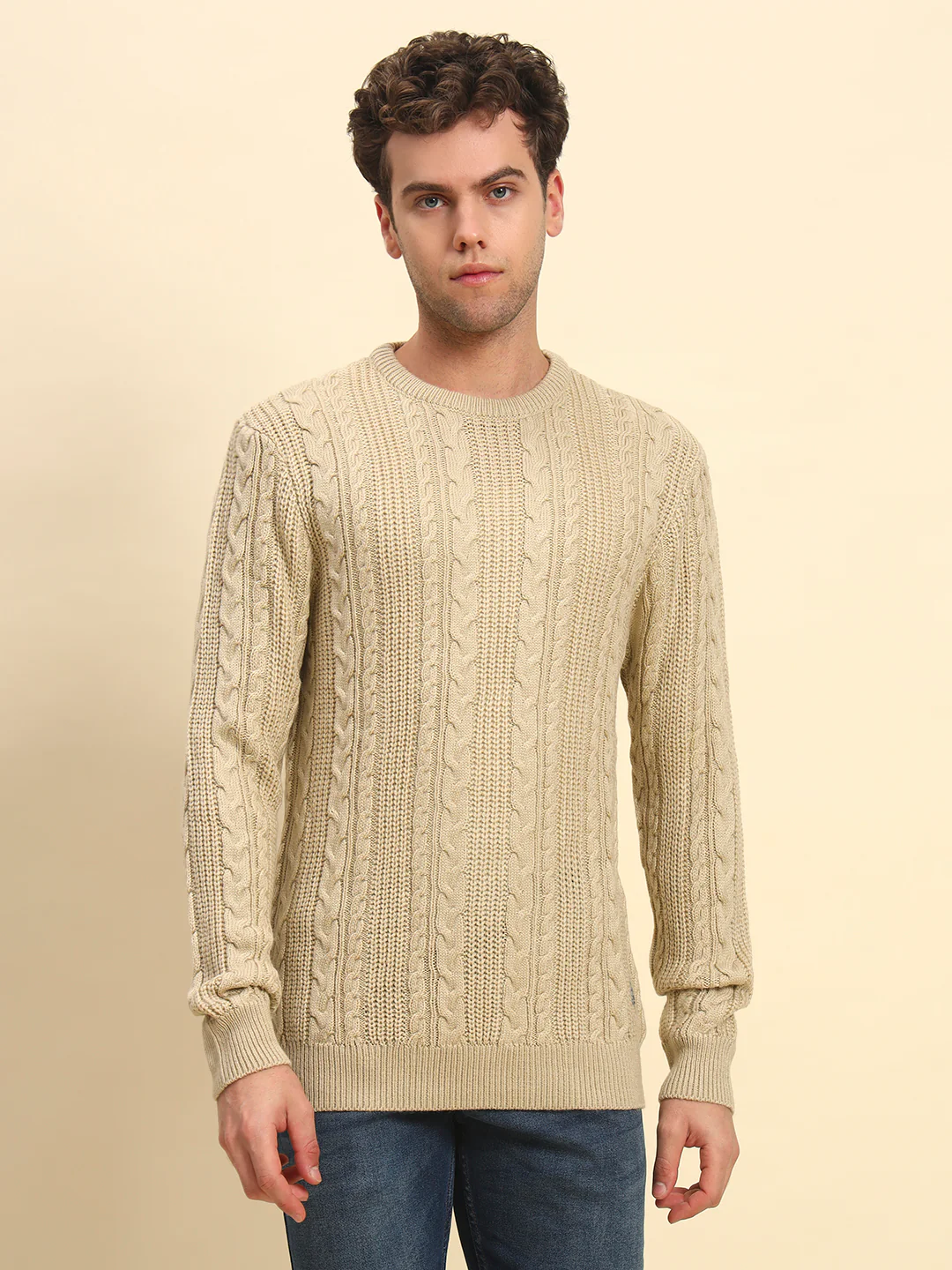 Sweater for Men | Winter Wear Acrylic Fabric Pull-On Closure Round Neck Regular Fit Self Design Pattern - Image 2